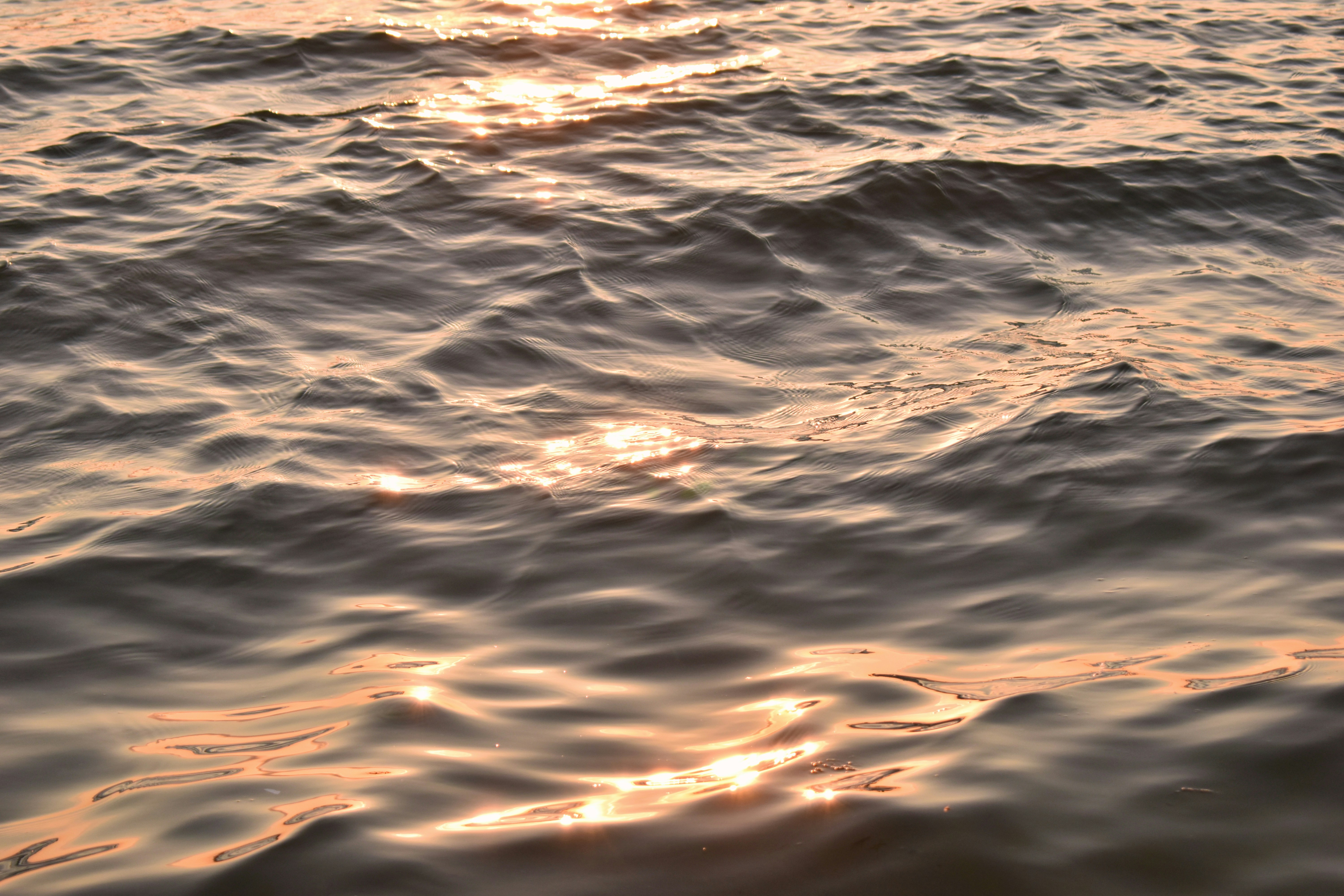 Photo by polina_grishma