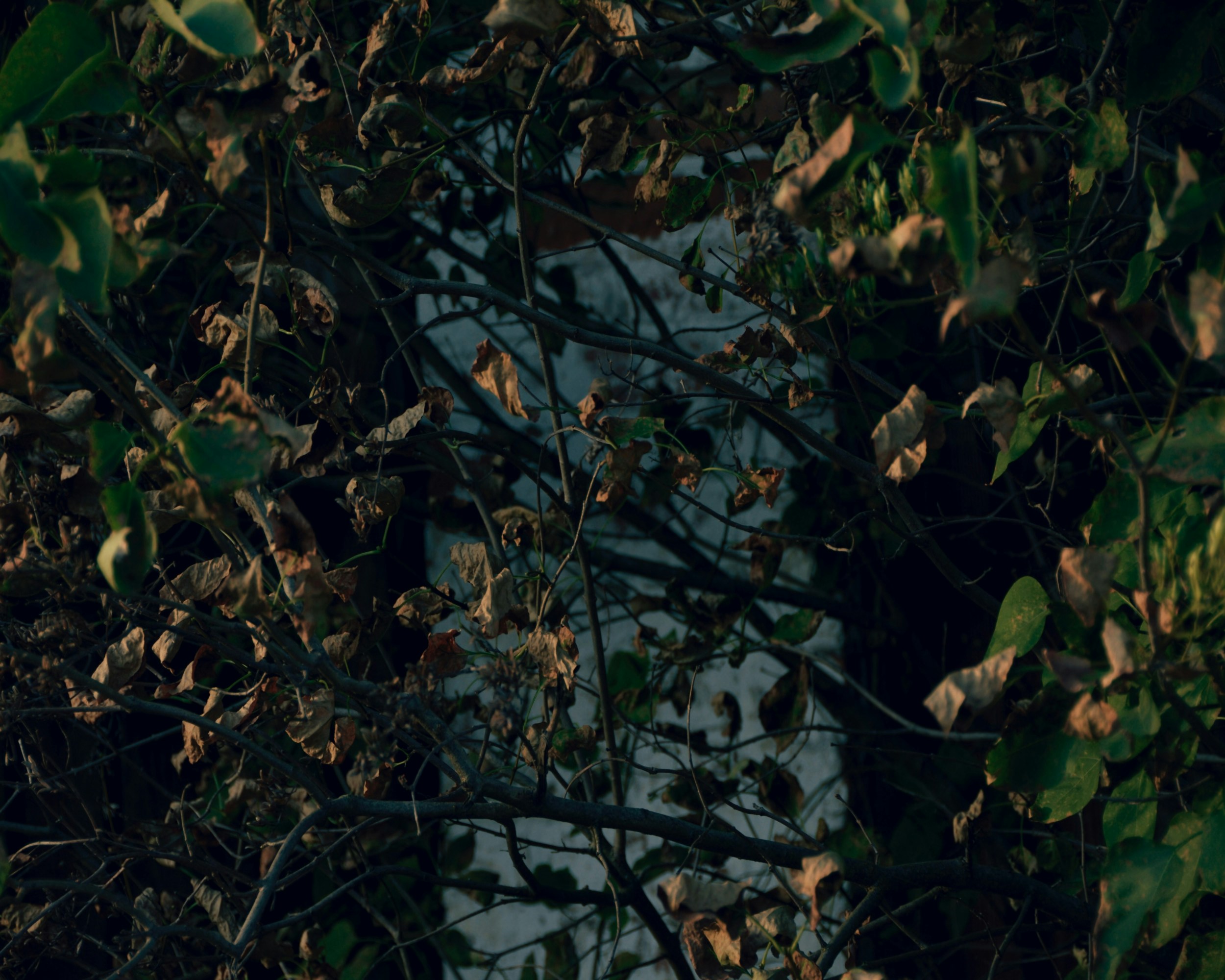 Photo by prosto_byblek