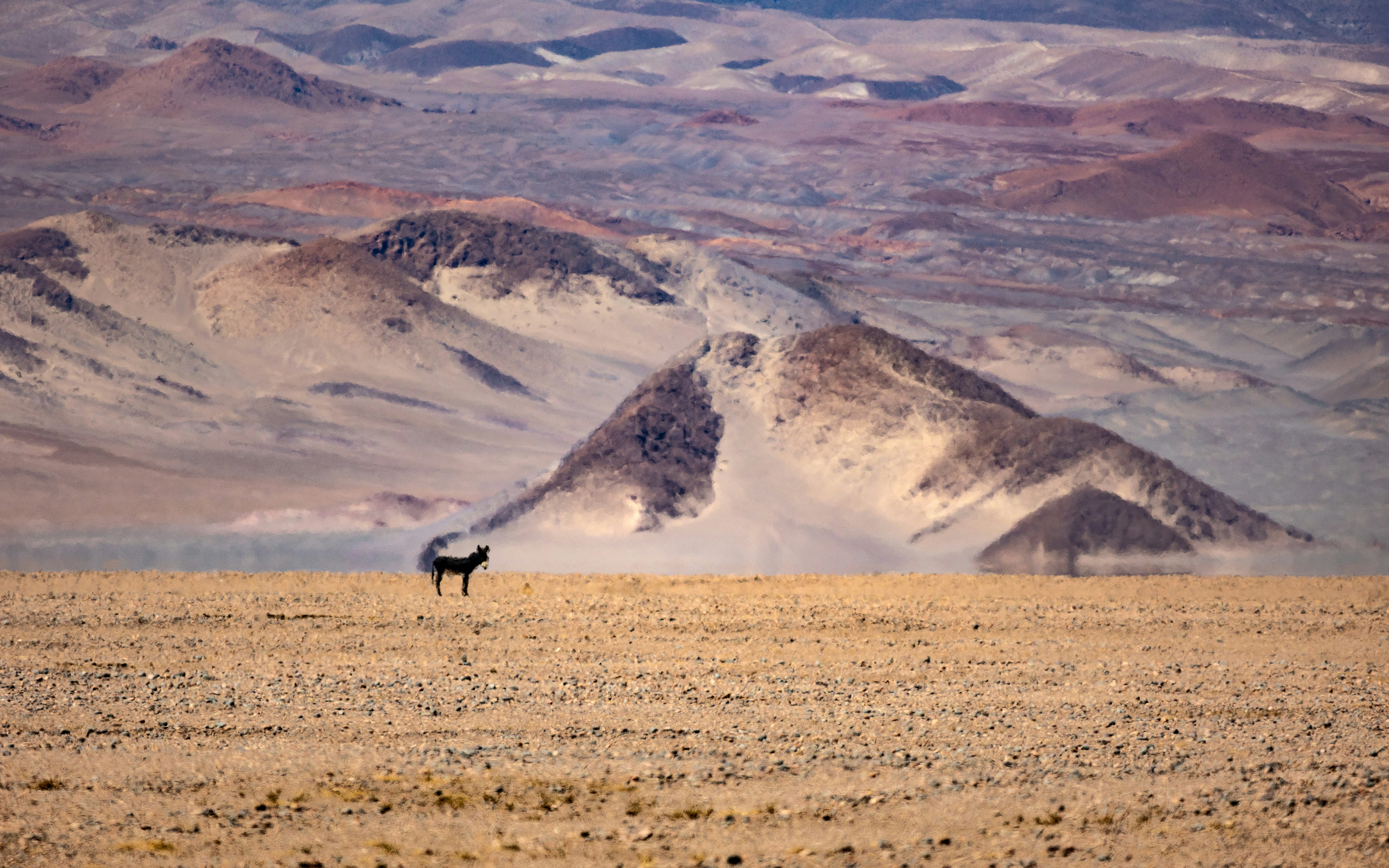 Photo by marekpiwnicki