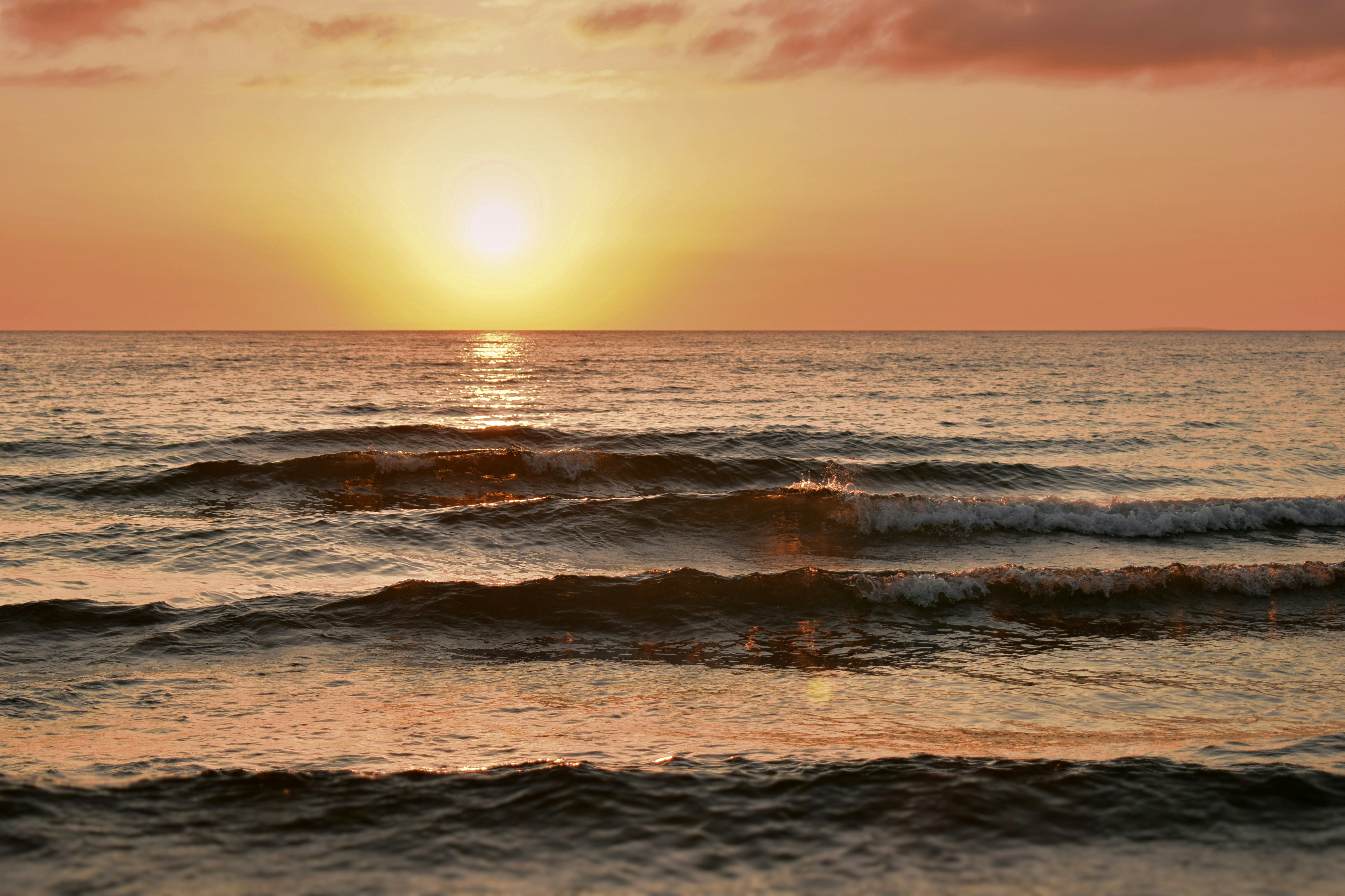 Photo by polina_grishma