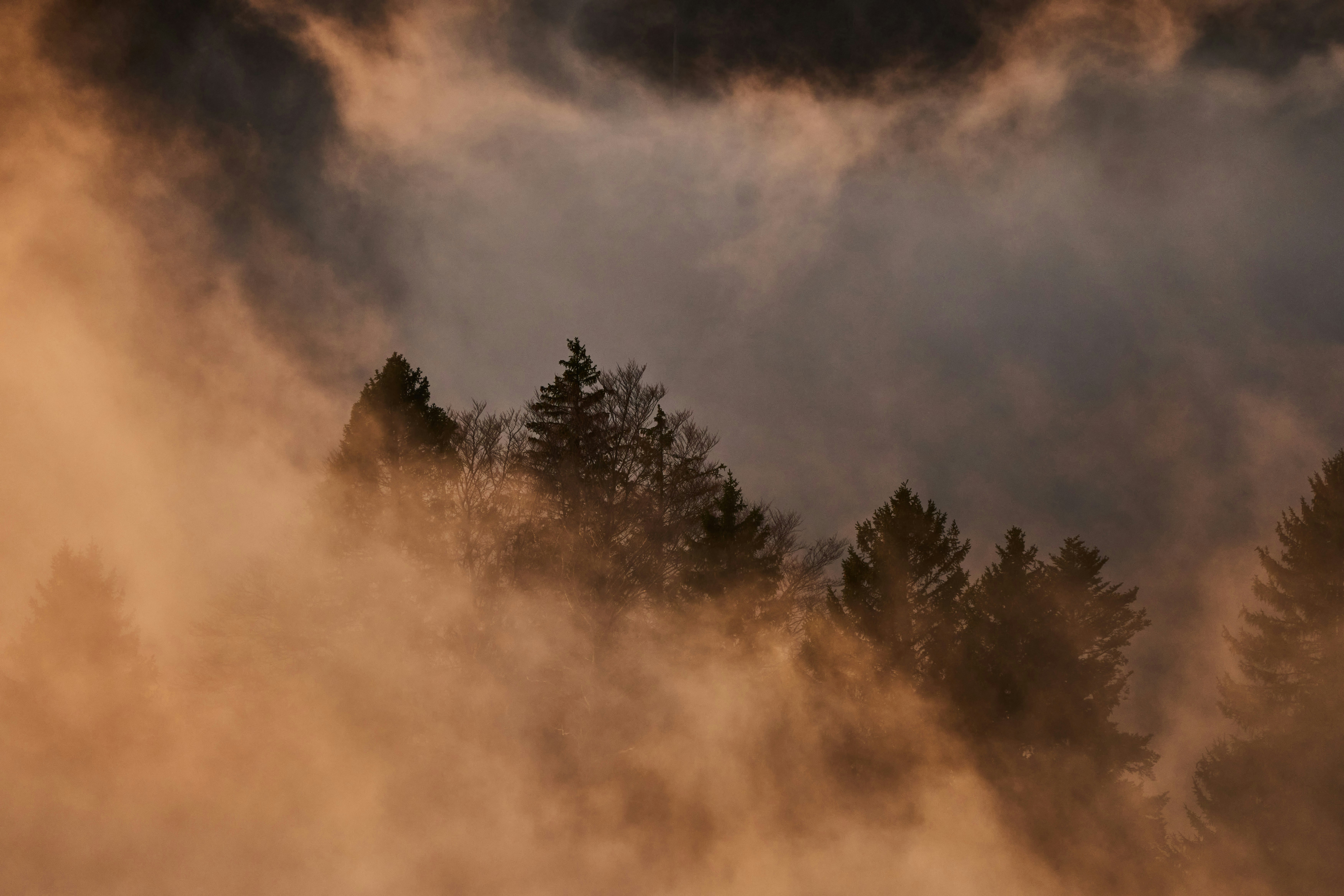 Photo by wolfgang_hasselmann