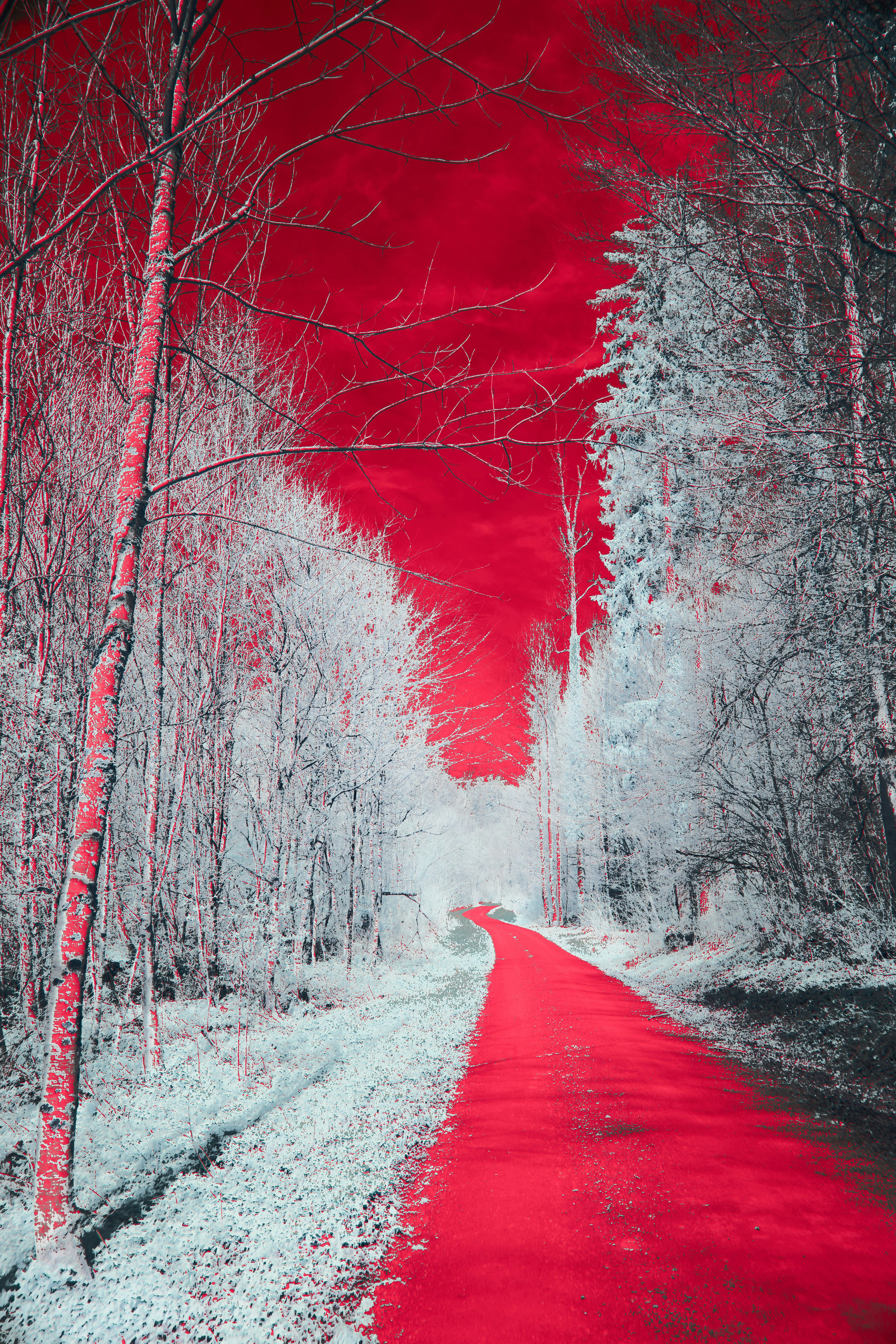 Photo by wolfgang_hasselmann