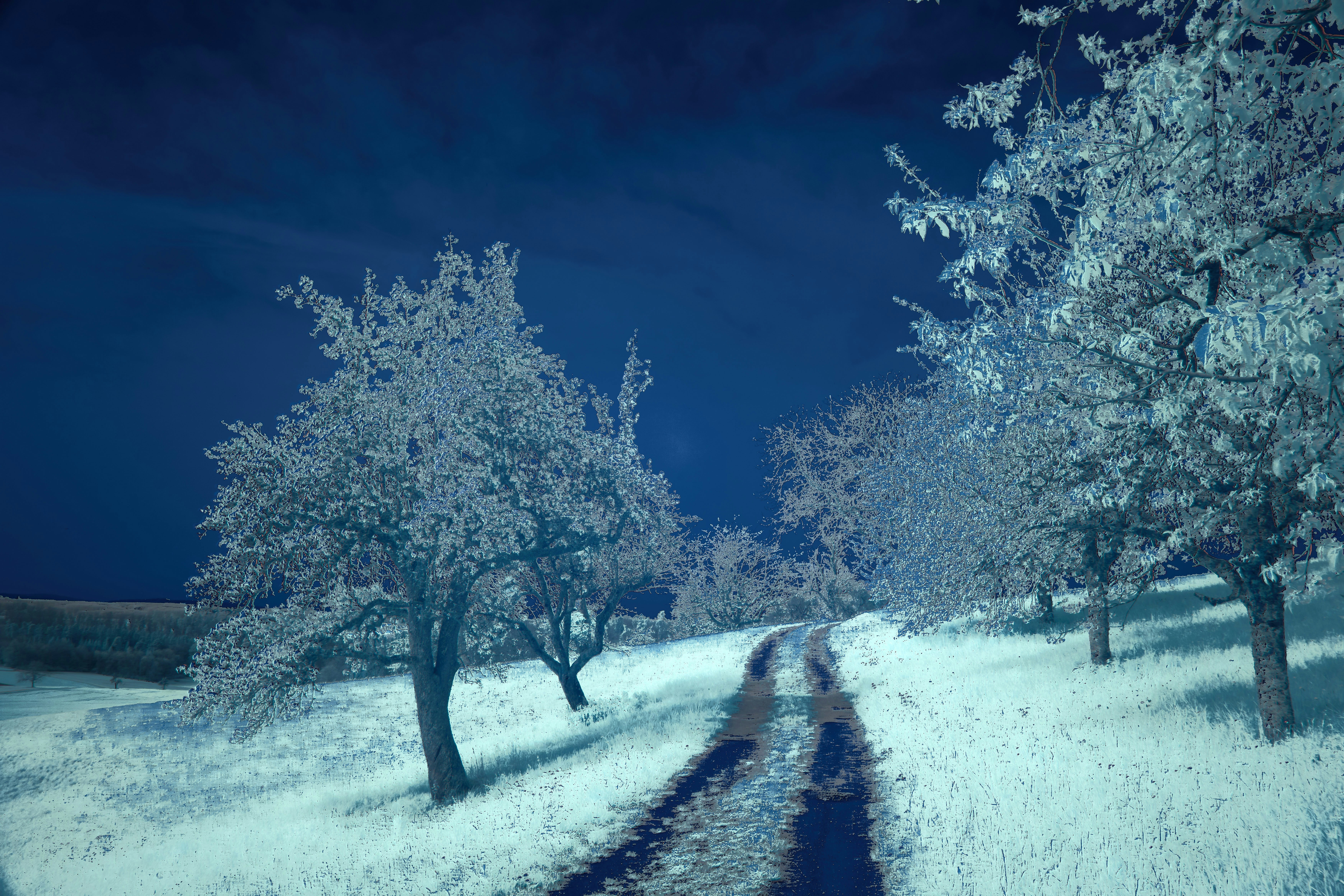 Photo by wolfgang_hasselmann