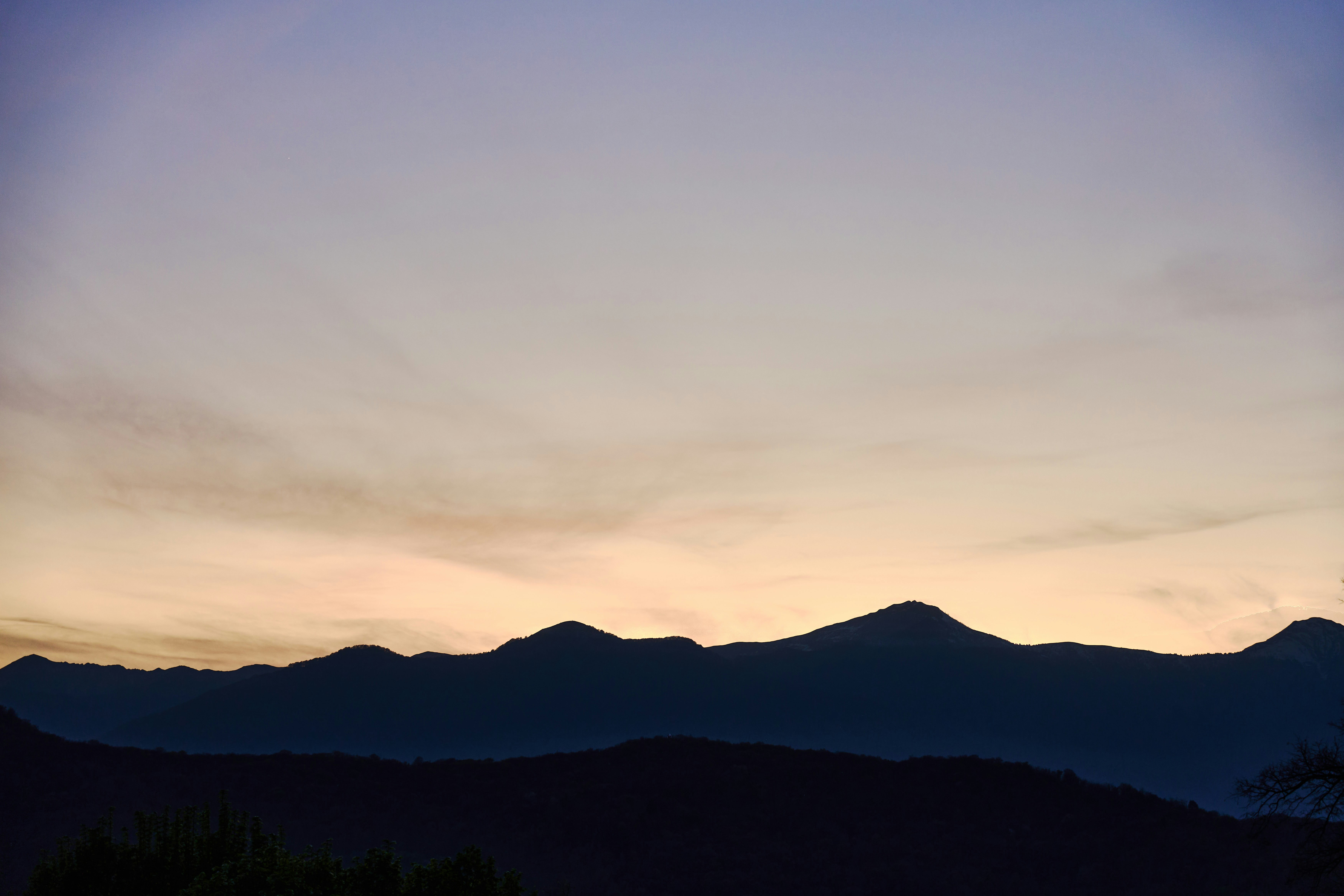 Photo by wolfgang_hasselmann