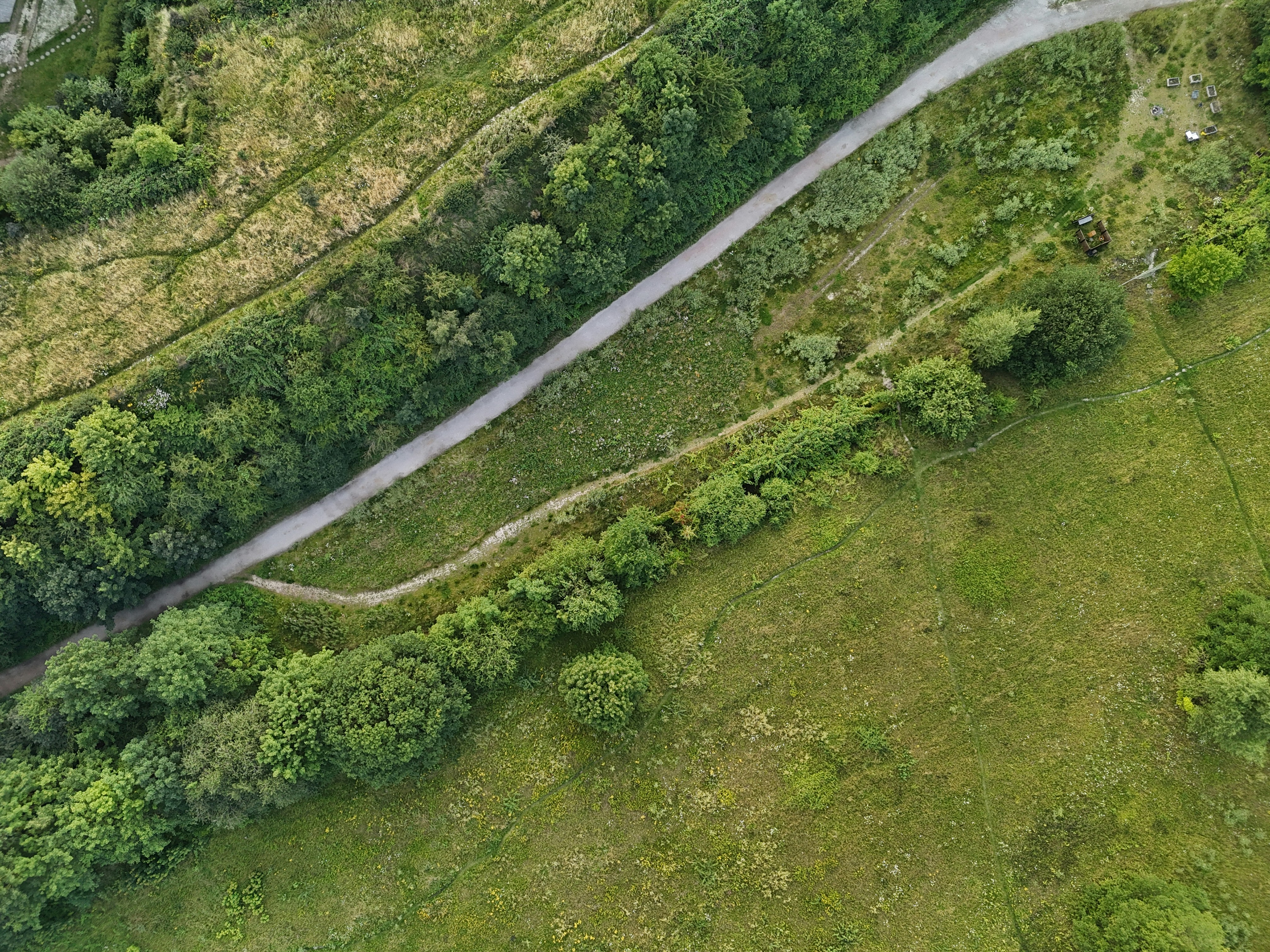 Photo by wordenskjold