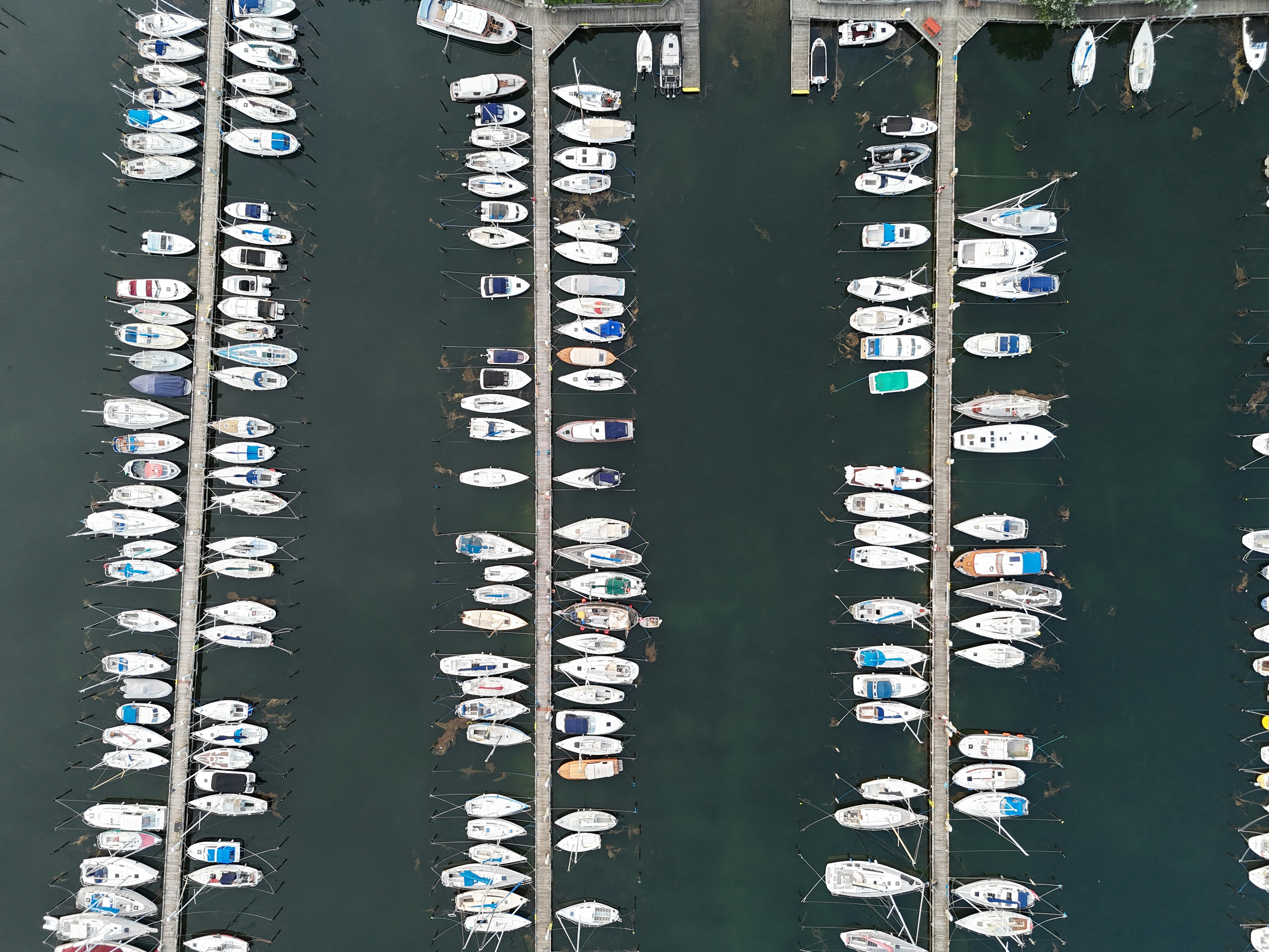 A marina filled with lots of white boats