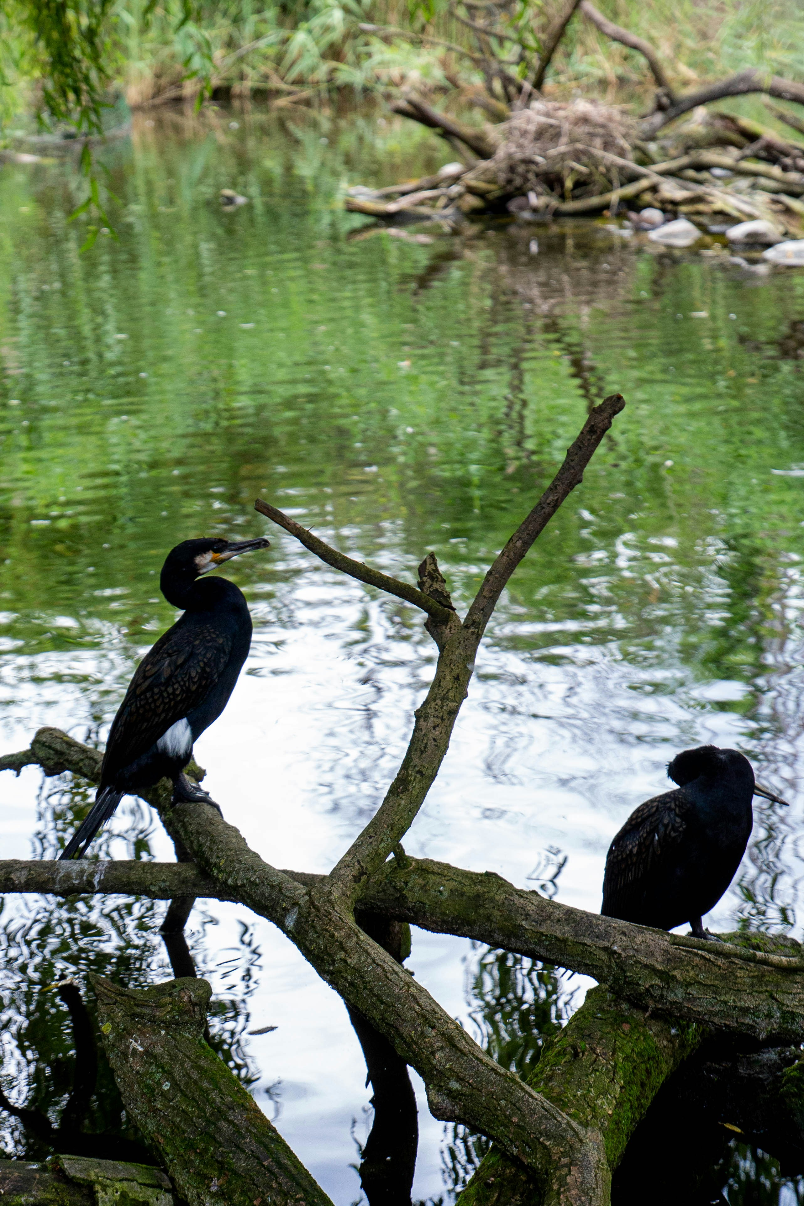 Photo by eino_art
