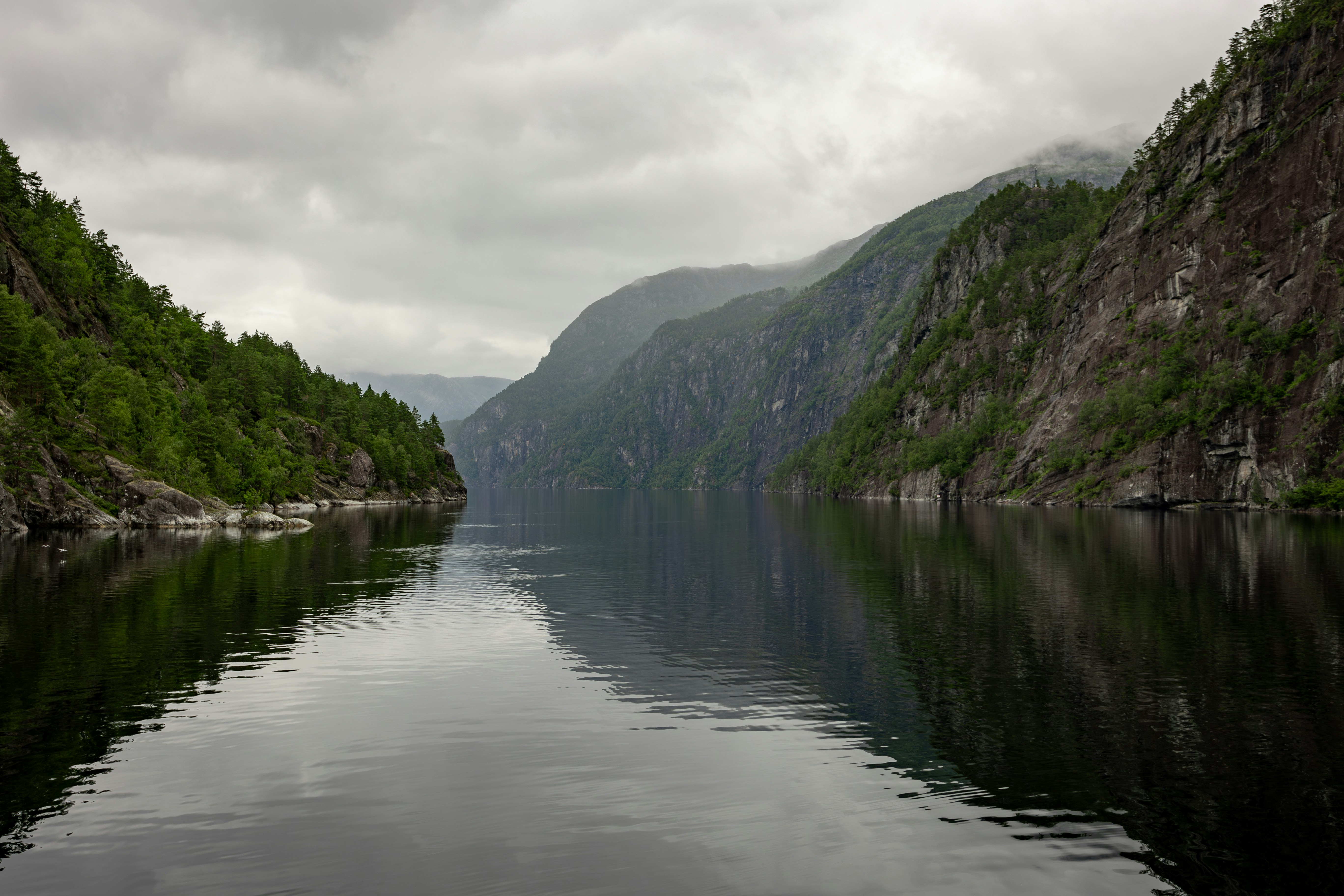 Photo by mitchblackwood