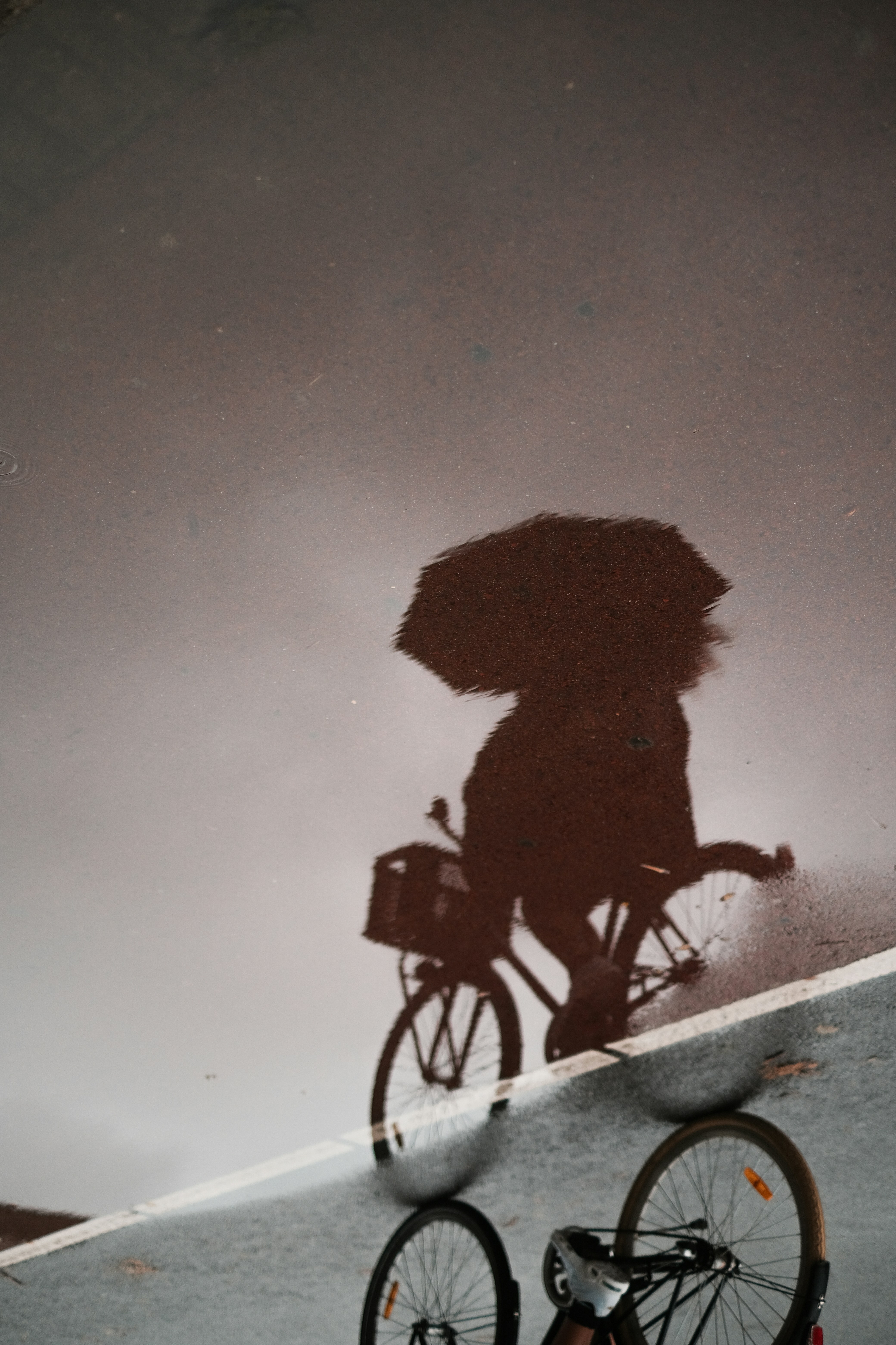 Photo by fourcolourblack