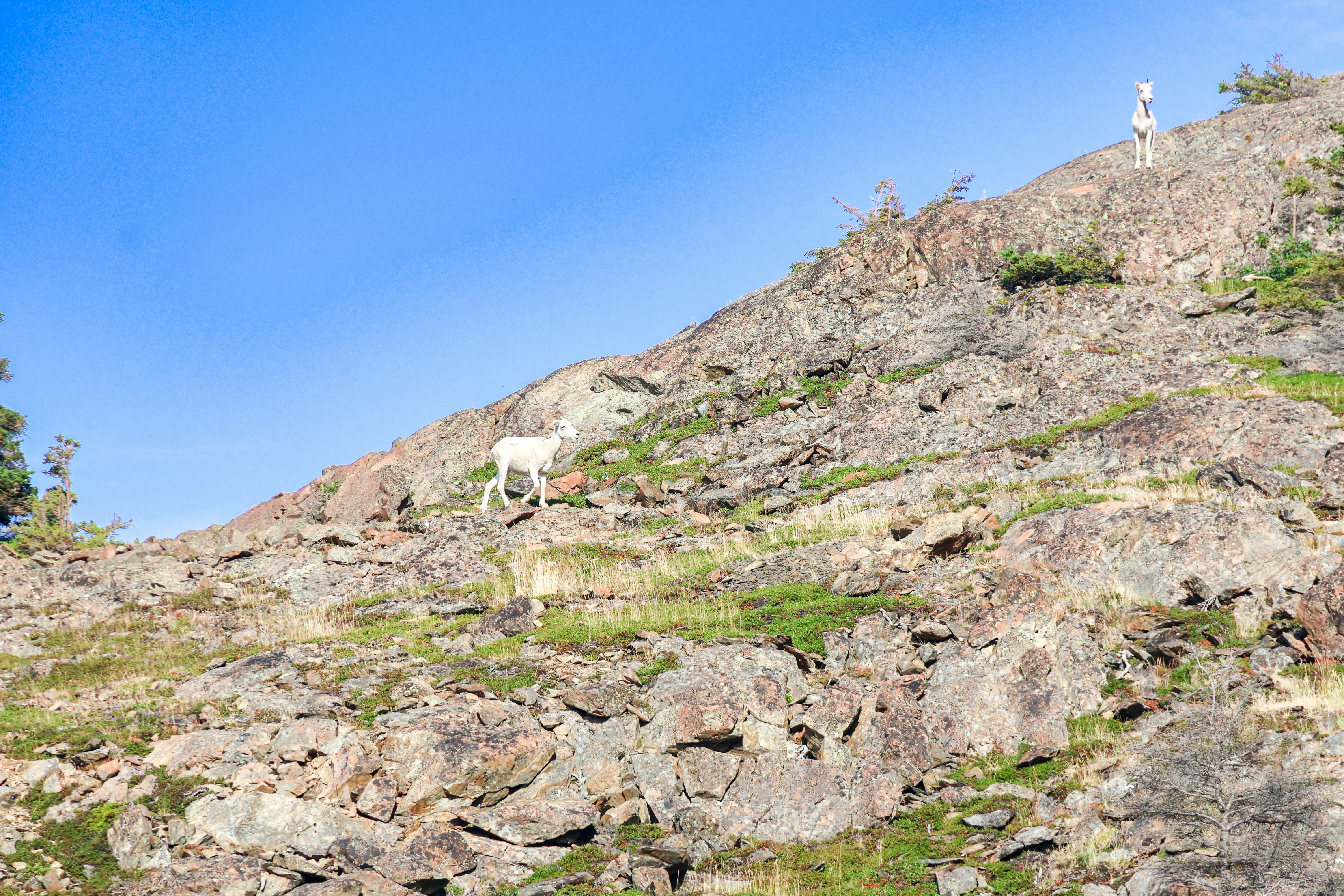 Photo by traveleroohlala