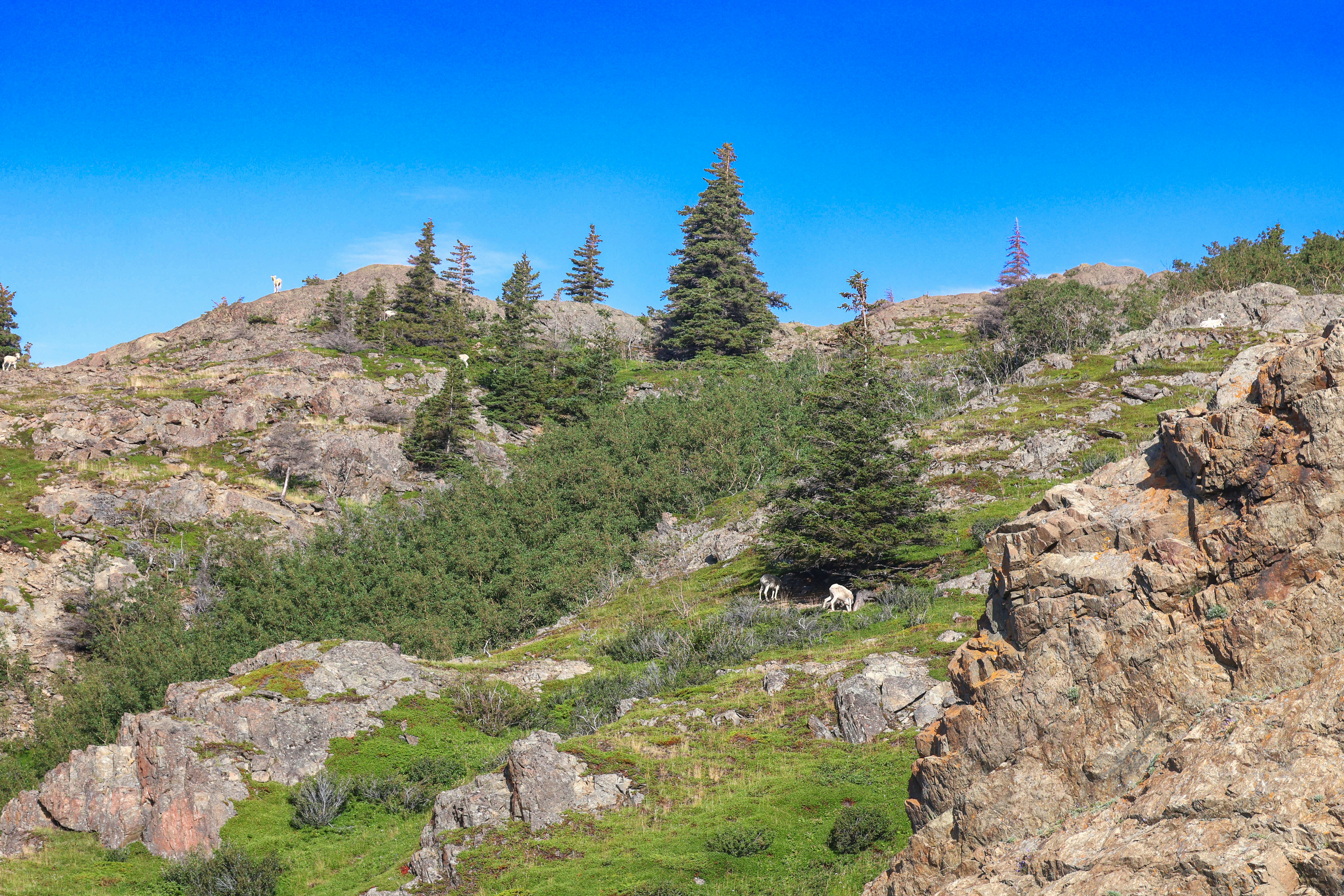 Photo by traveleroohlala