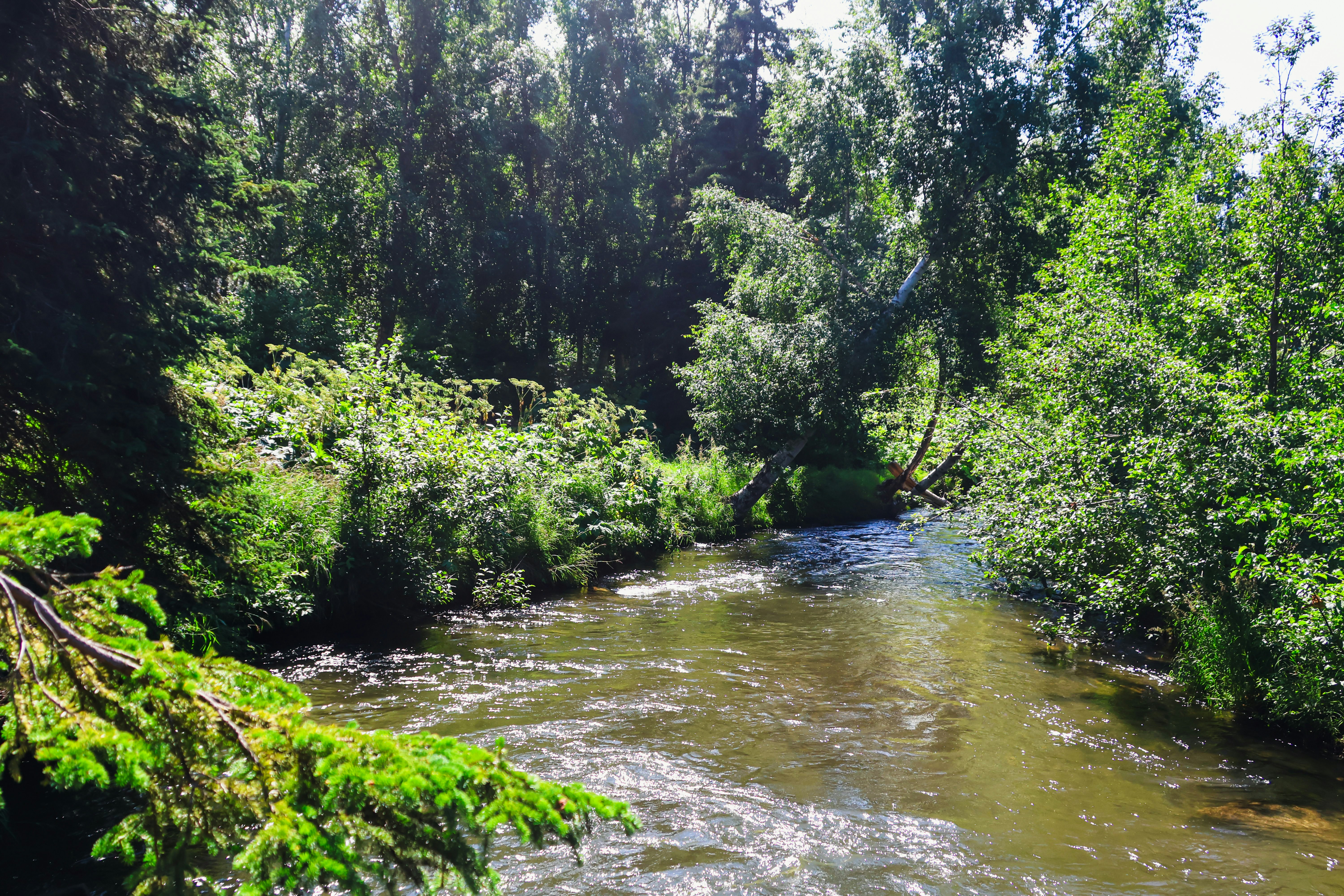 Photo by traveleroohlala