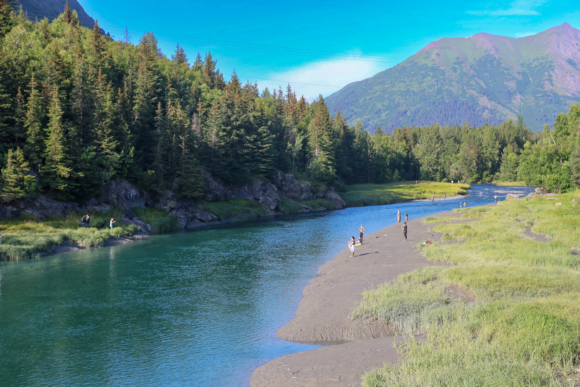 A river running through a lush green forest