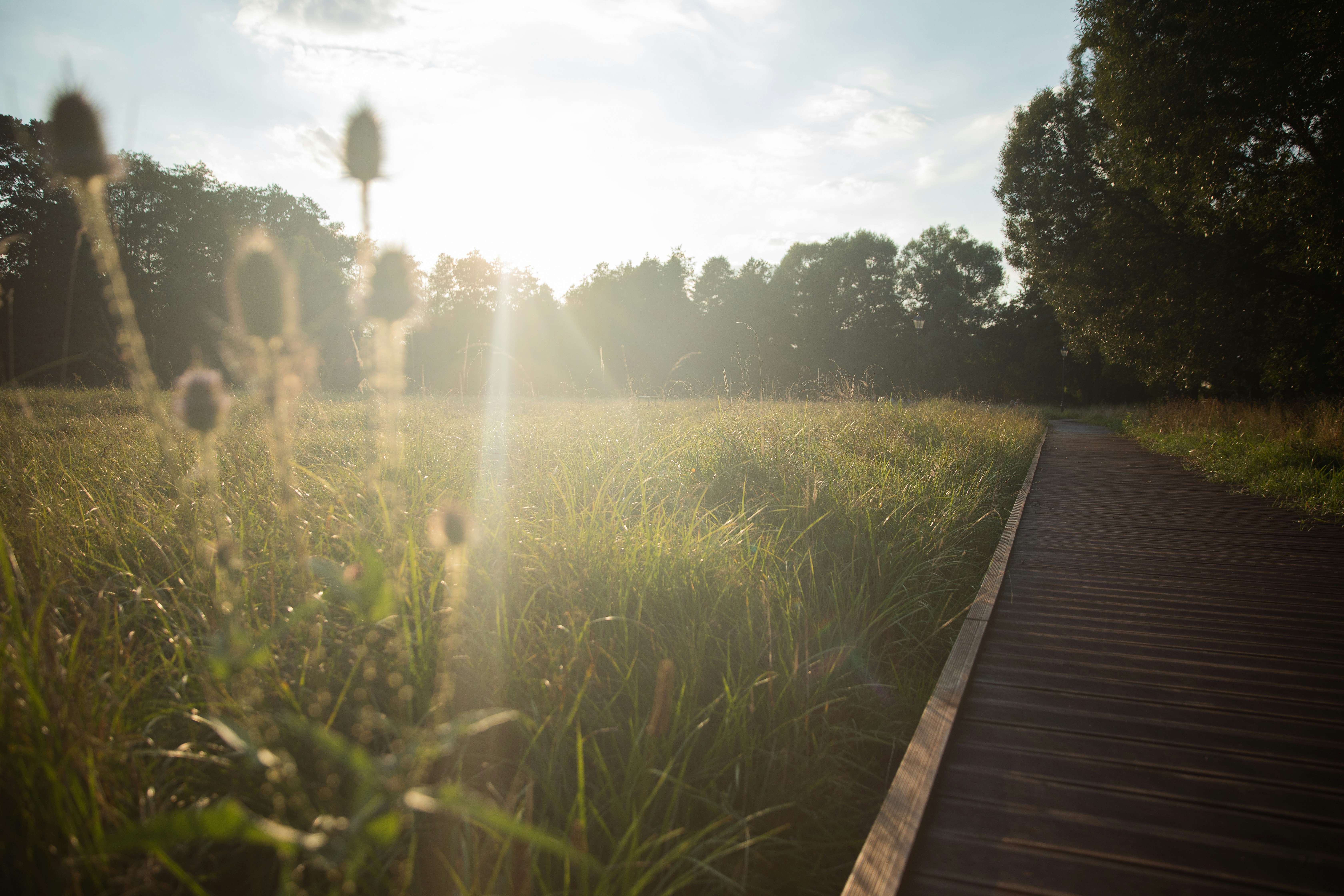 Photo by fotograficznahistoria