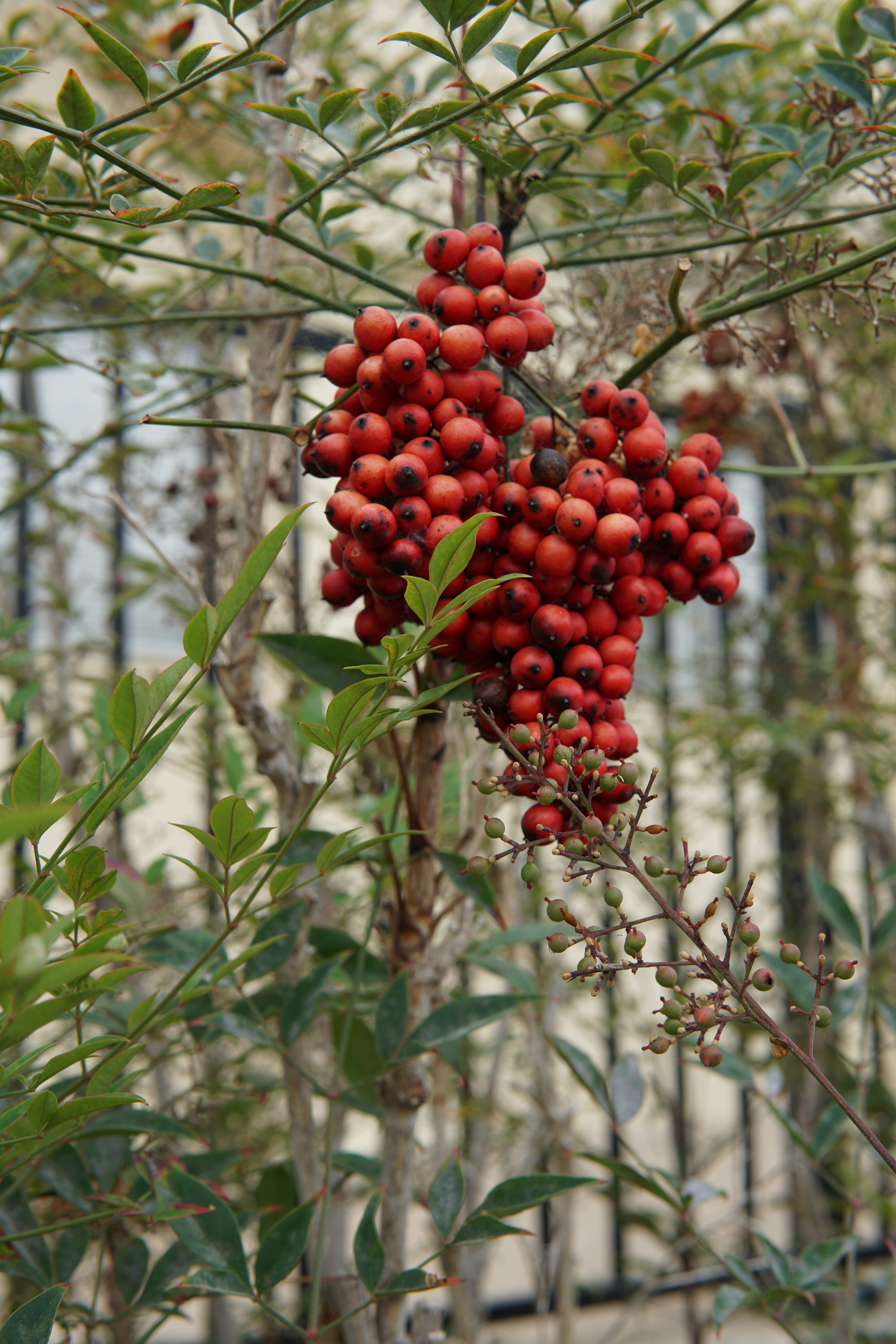 Photo by ameawadsworth