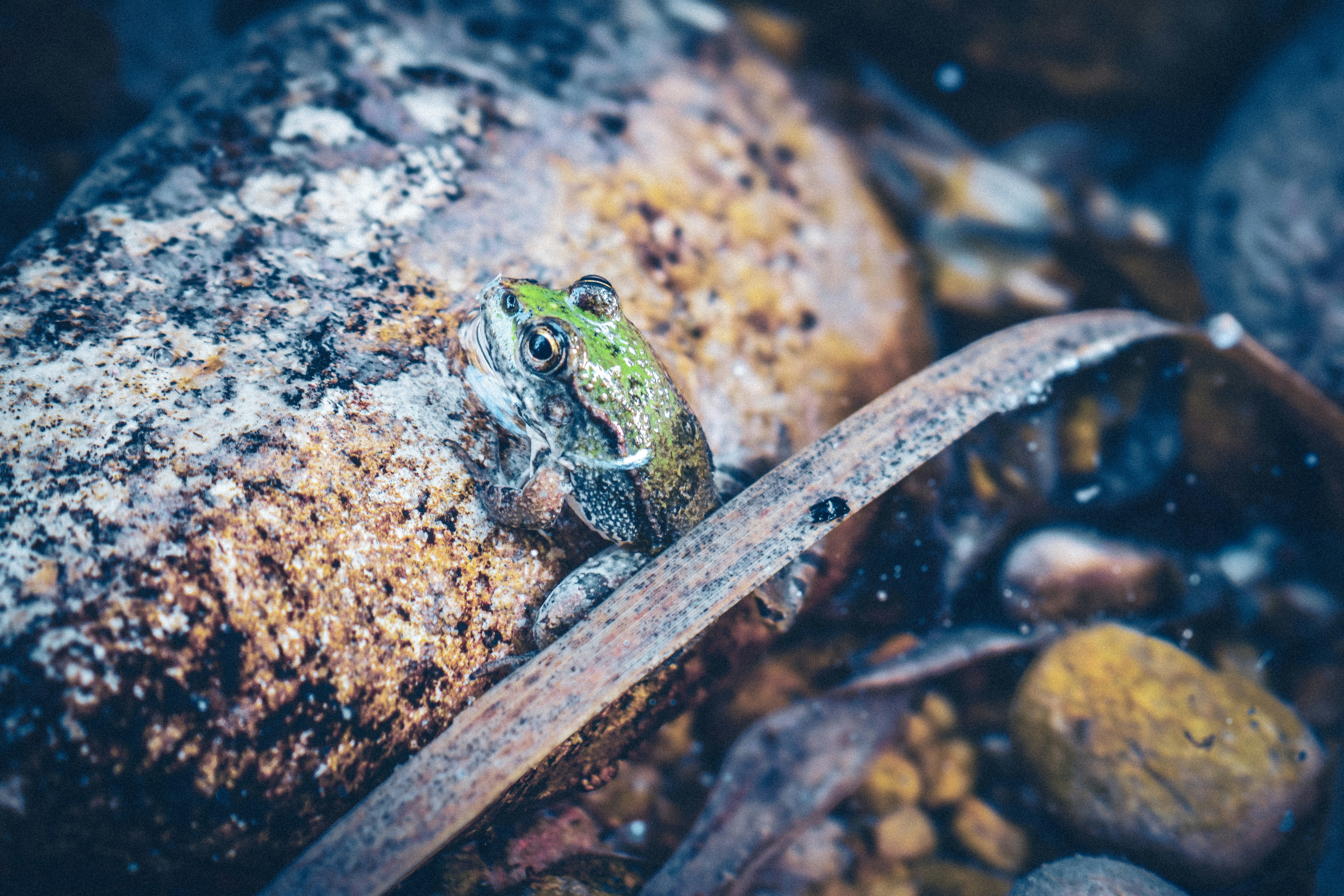 Photo by nikolasmitsiggas