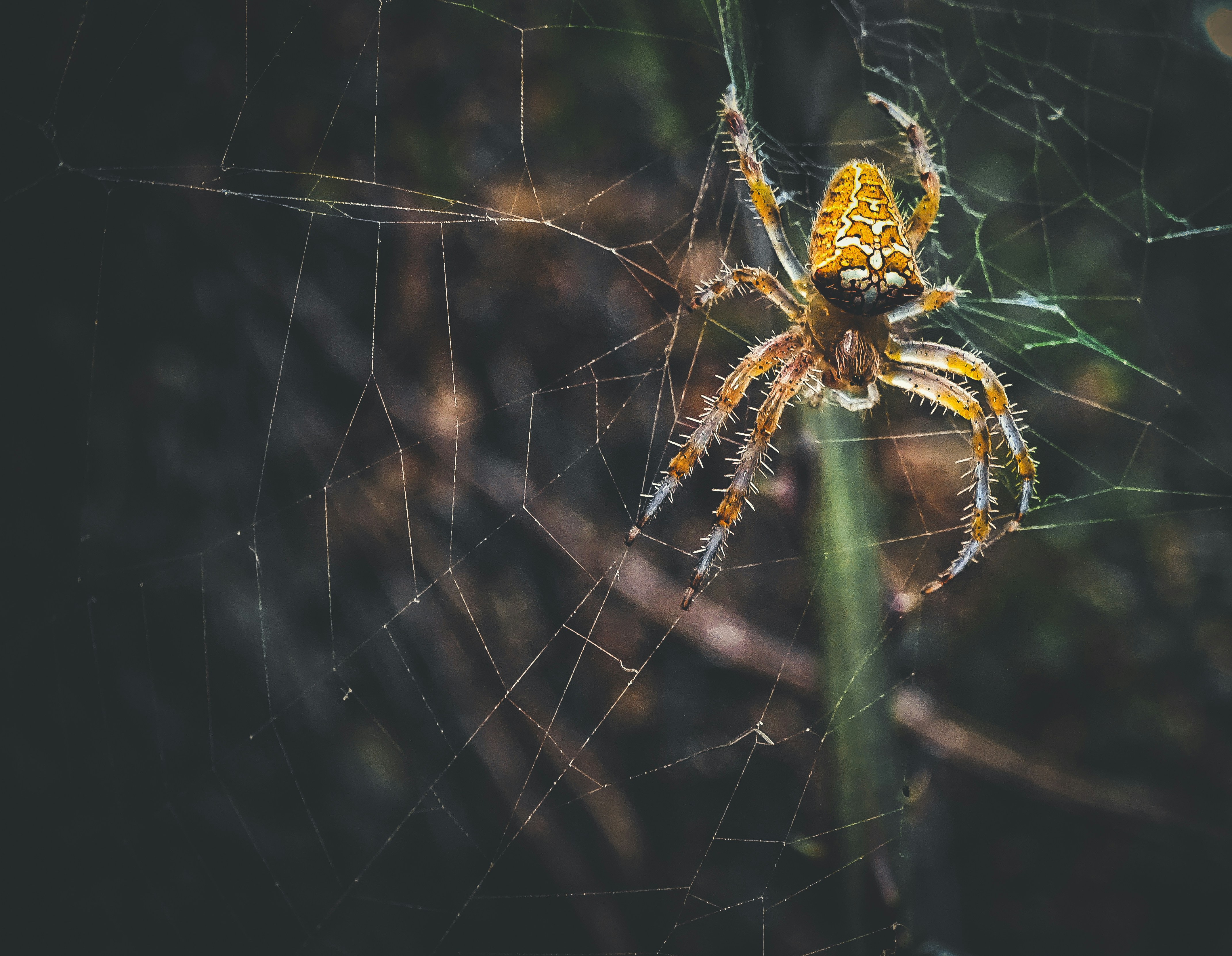 Photo by nikolasmitsiggas