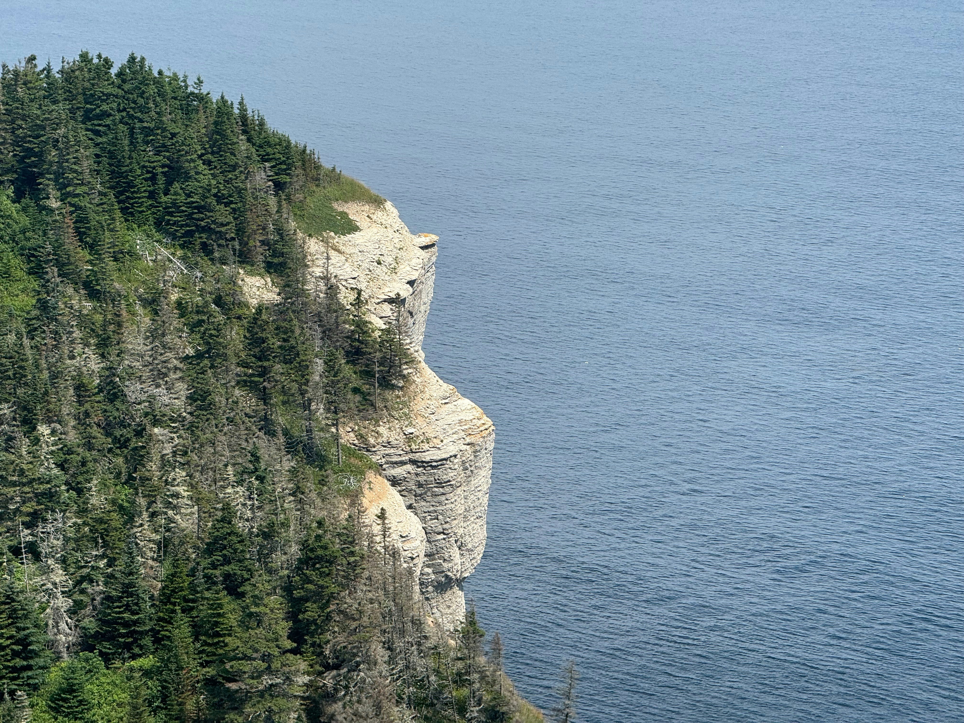 A cliff on the edge of a body of water