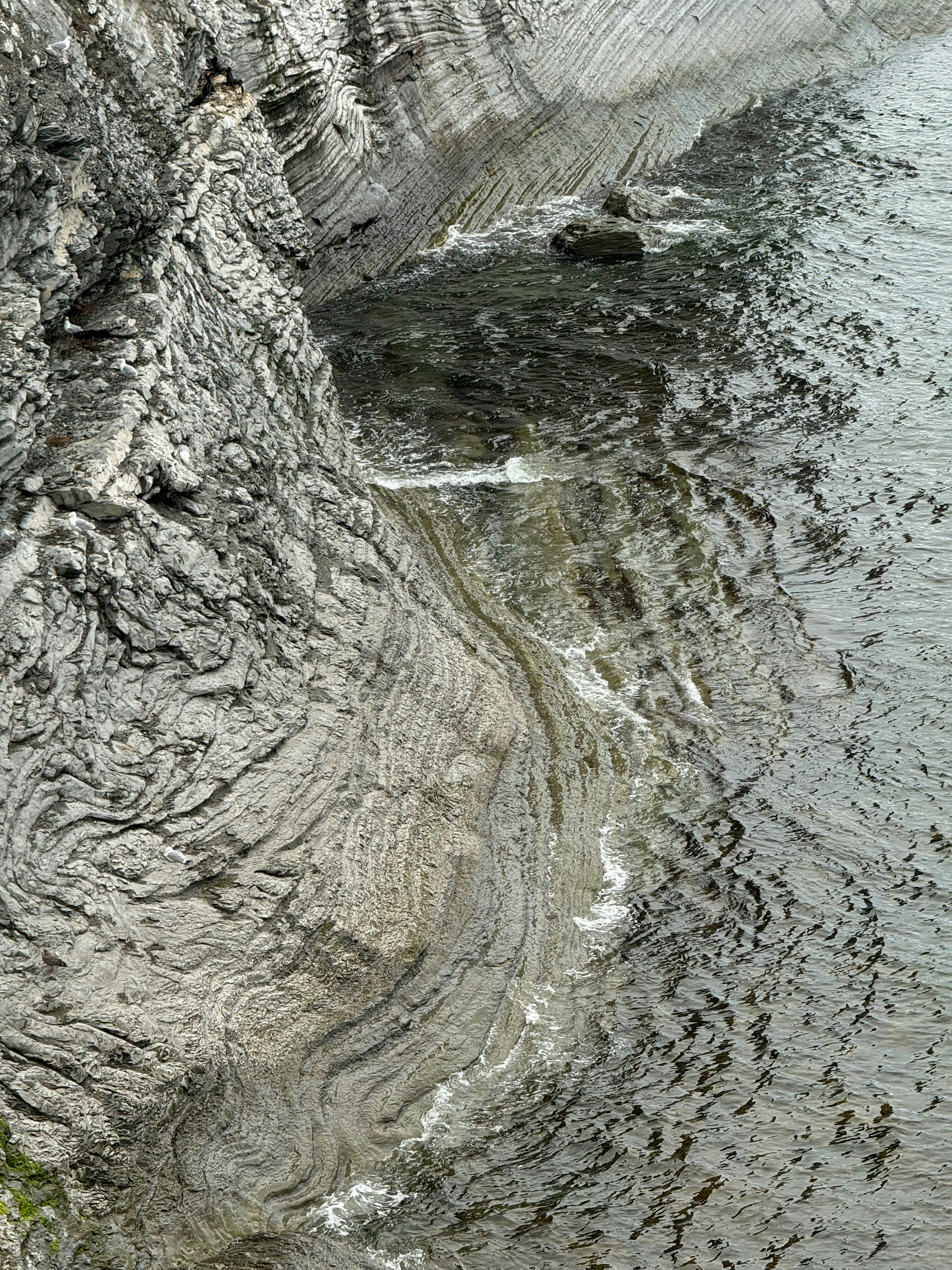 A bird is sitting on the edge of a cliff
