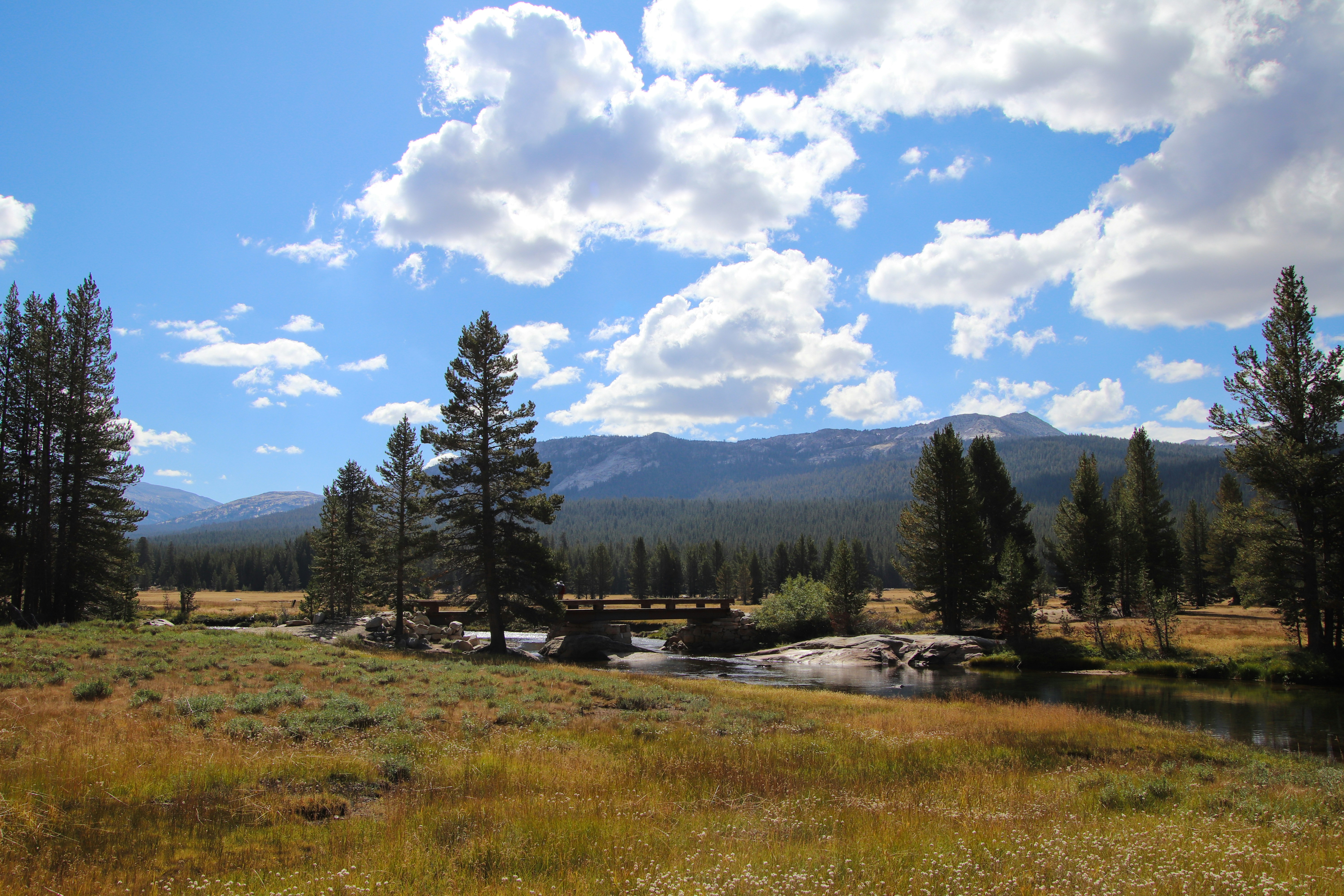 Clara Park