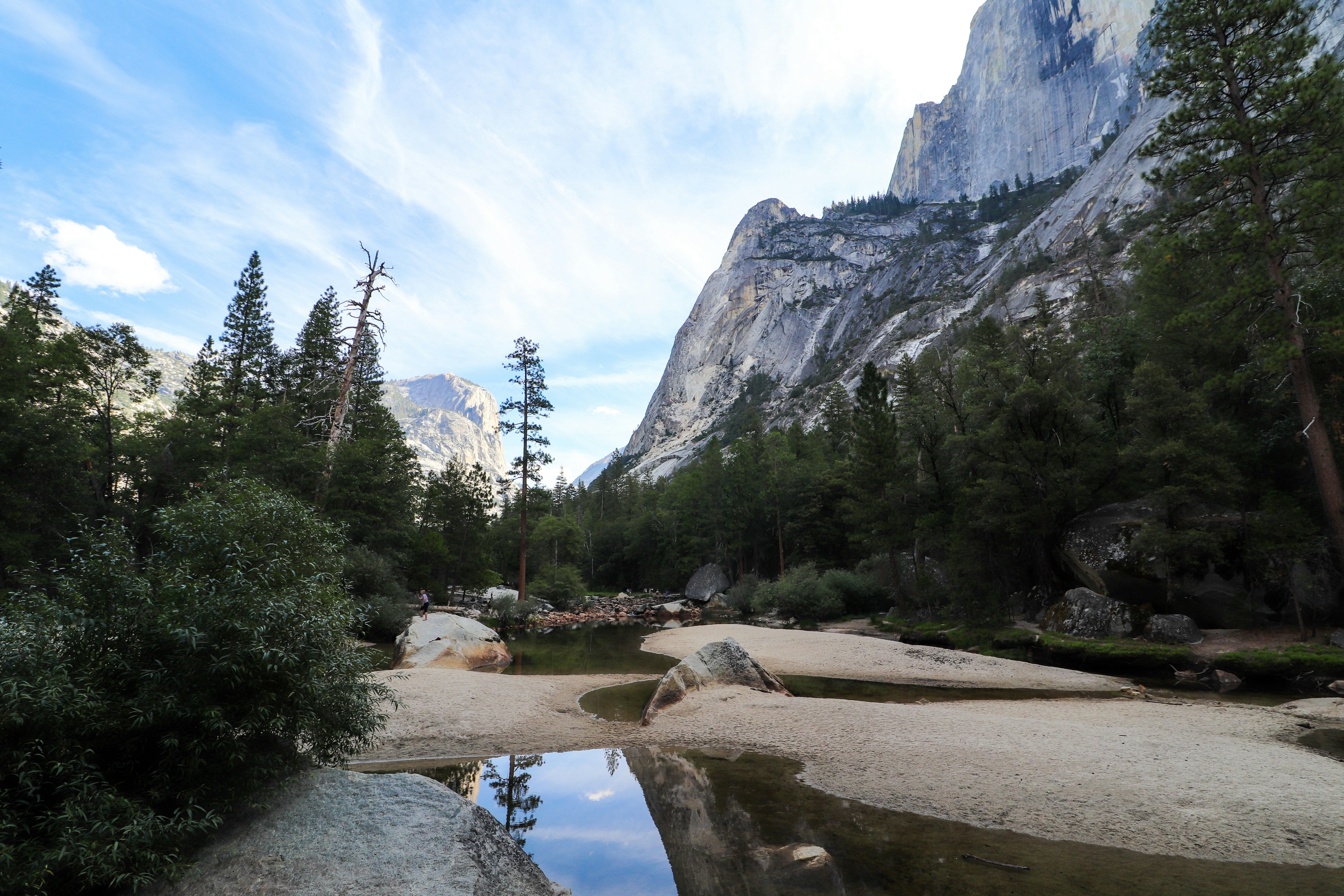 A river running through a forest next to a mountain
