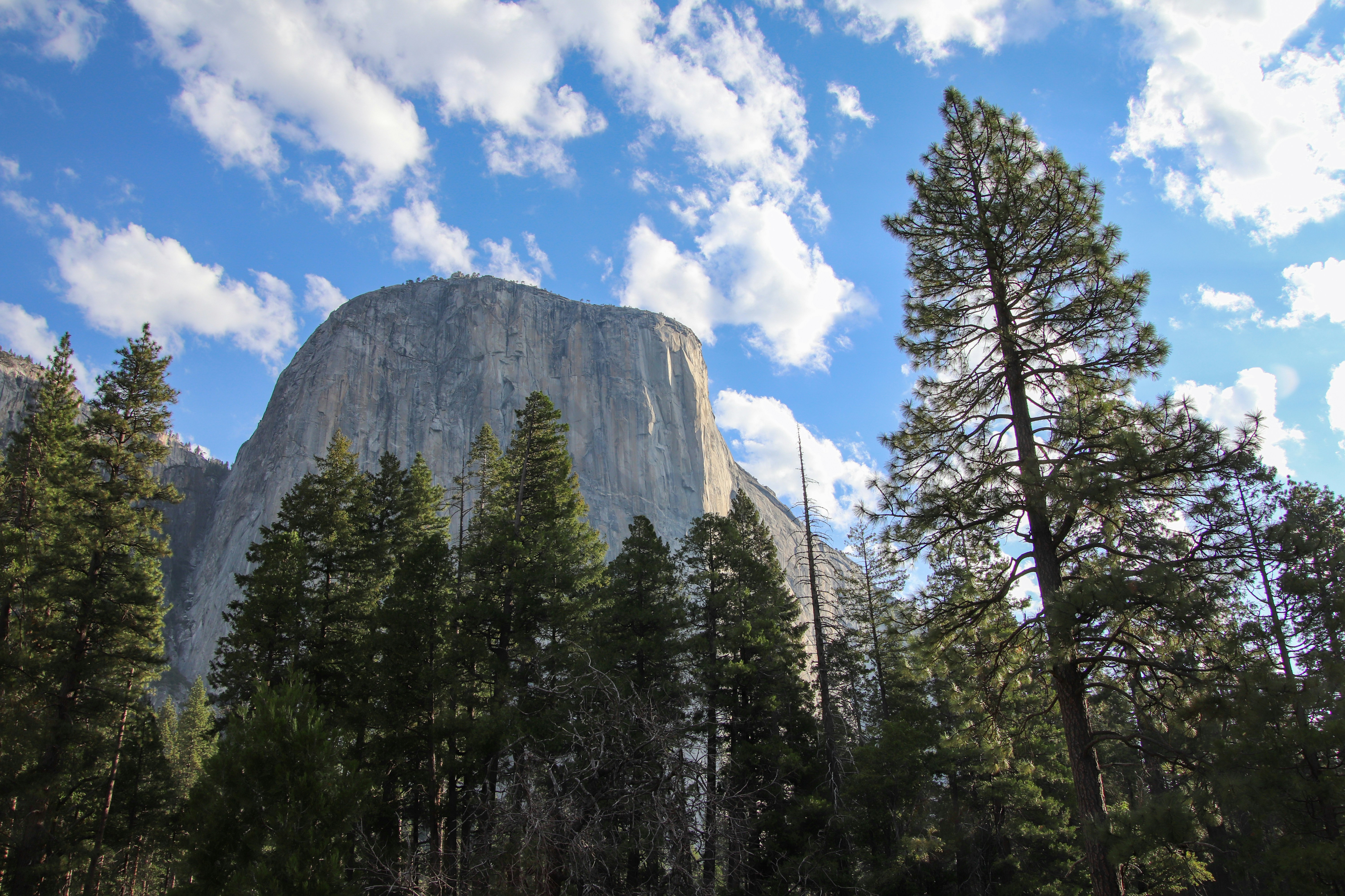A view of a mountain with trees in the foreground, 