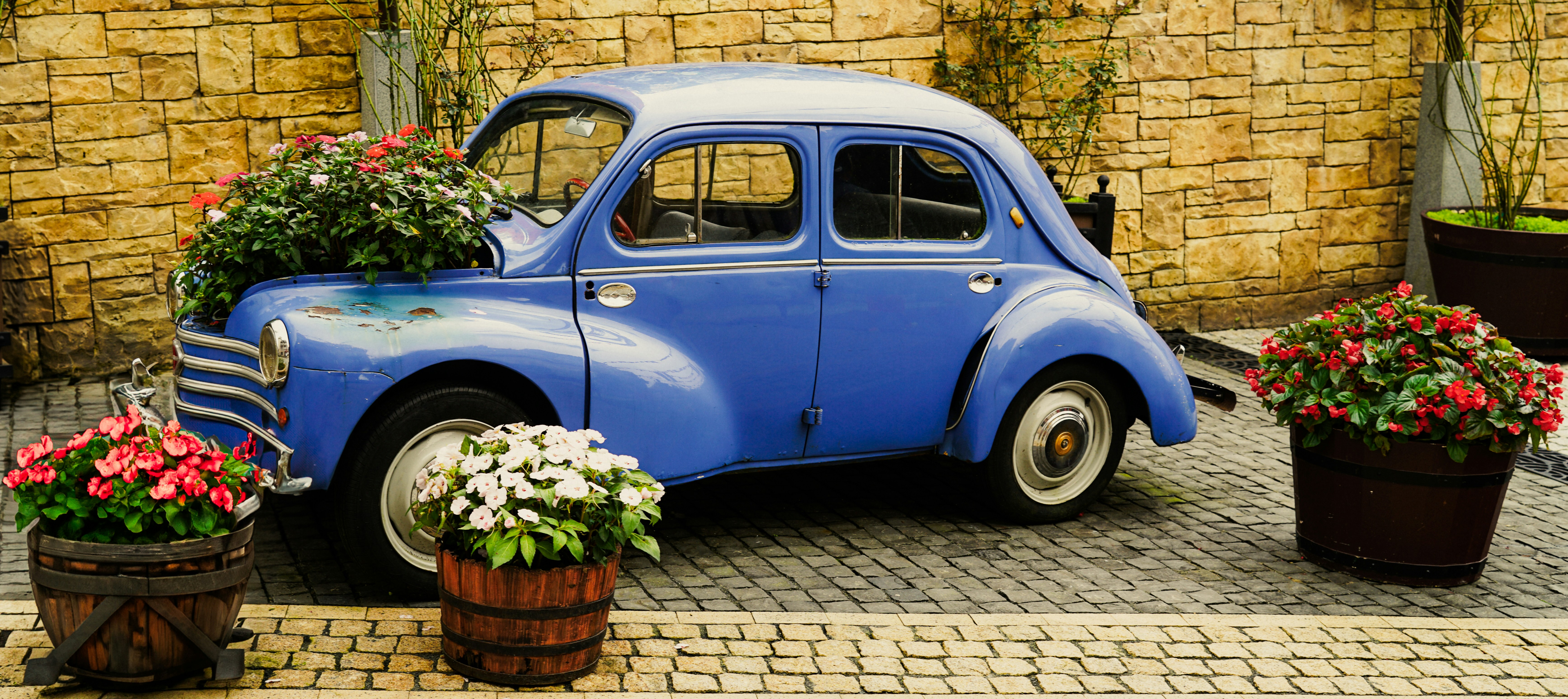 Photo by christhompson0