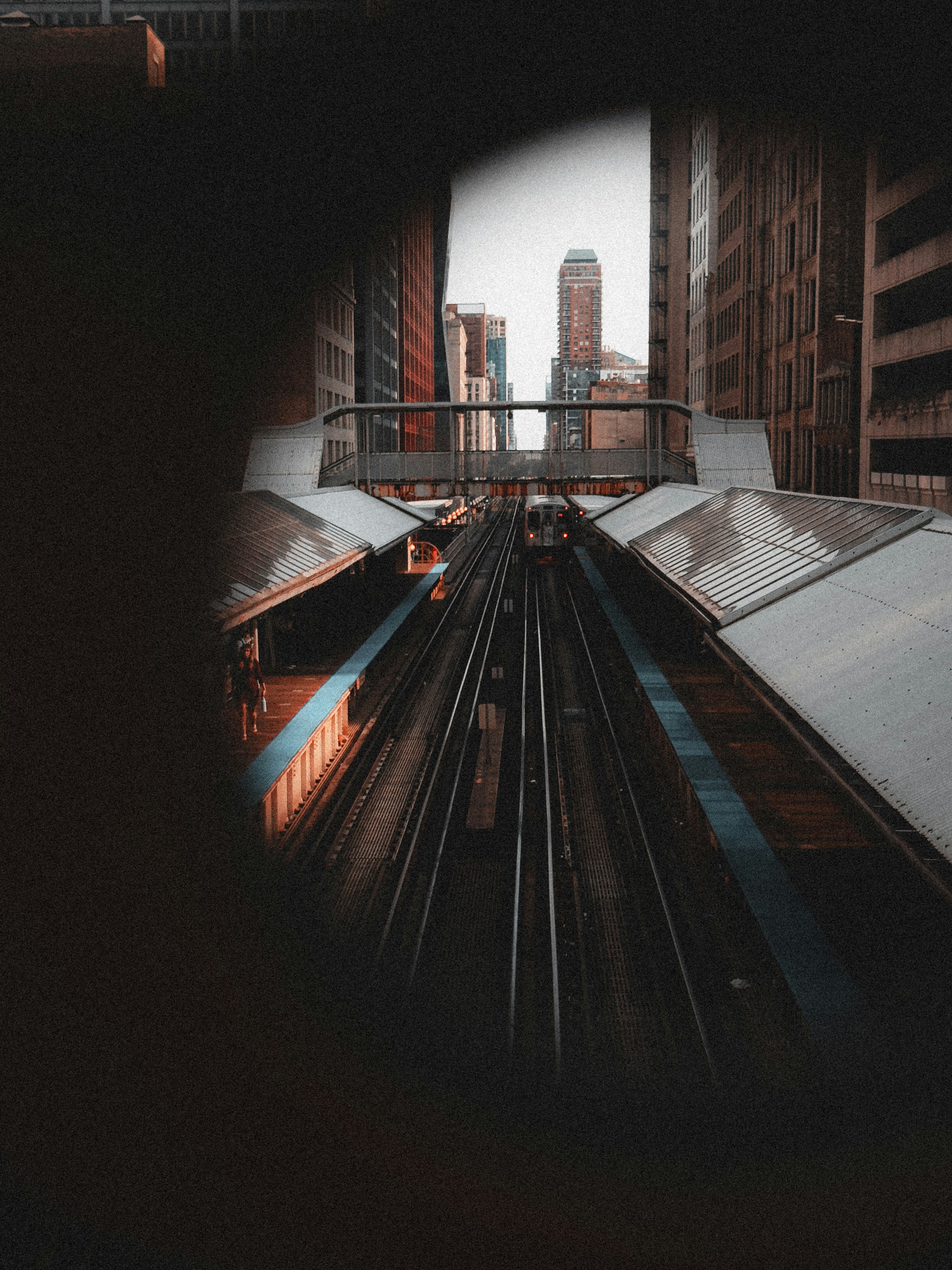 Photo by allenboguslavsky