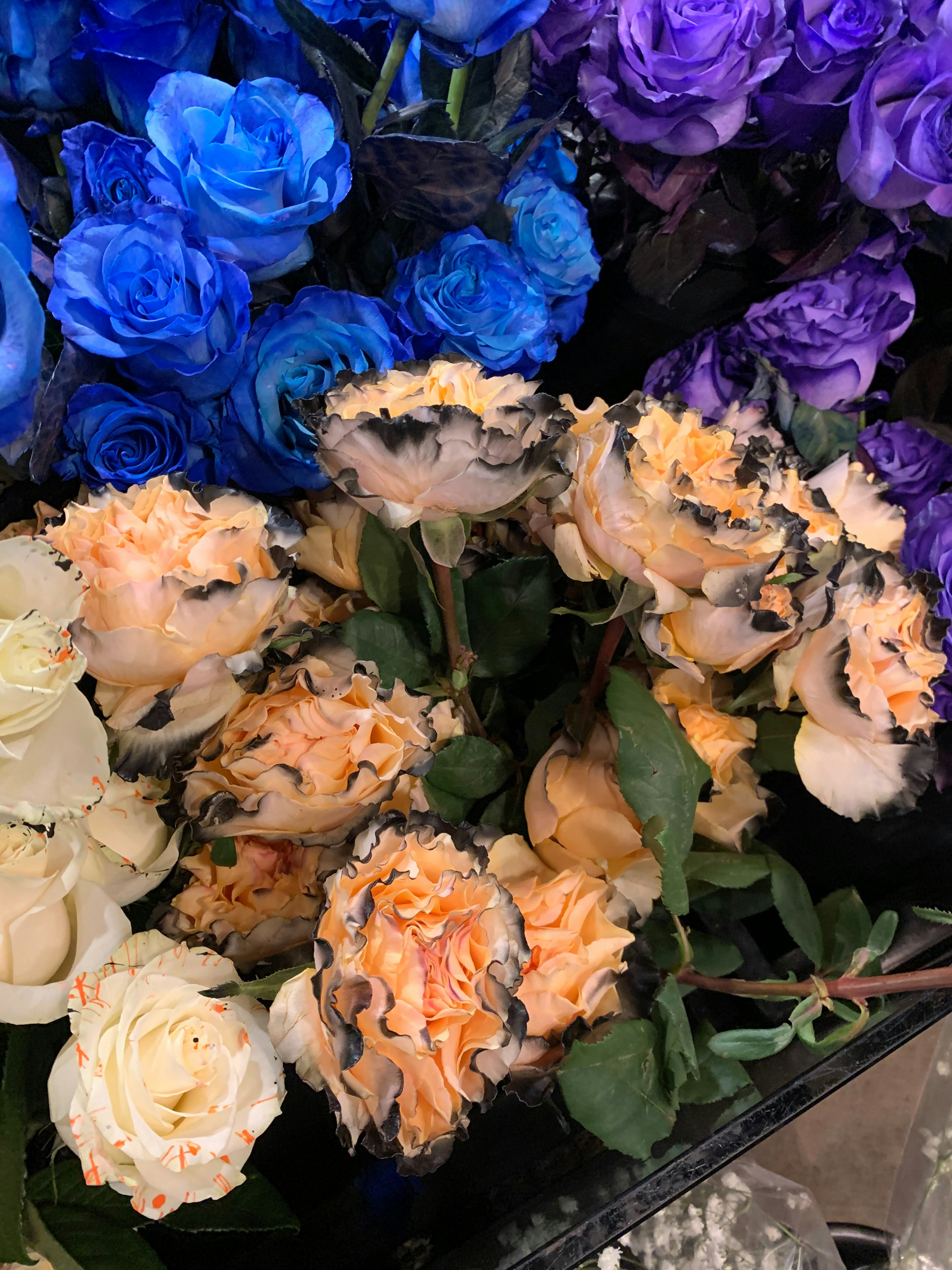 Warm sunset-toned orange and peach roses in a vibrant bouquet