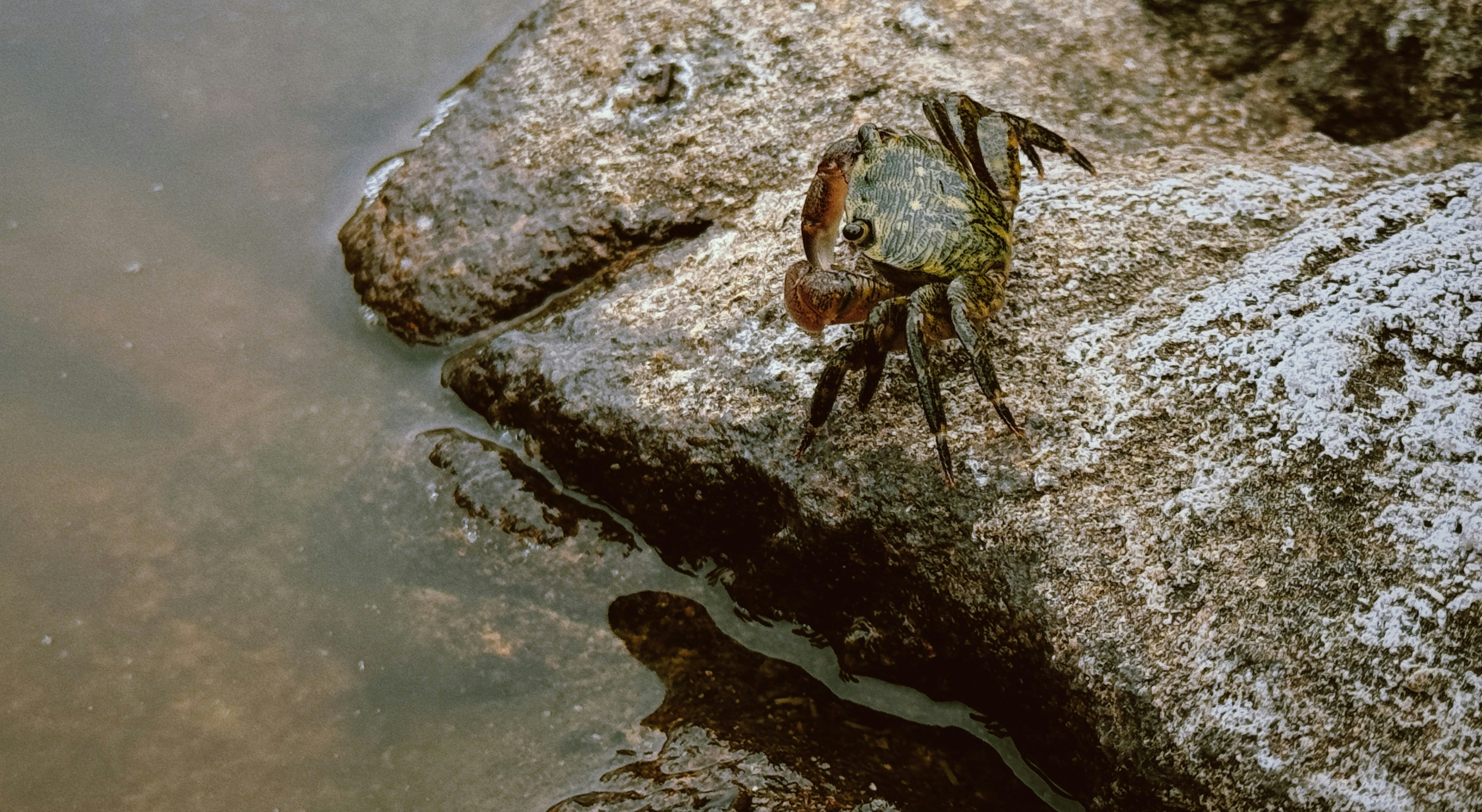 Photo by bondomovies