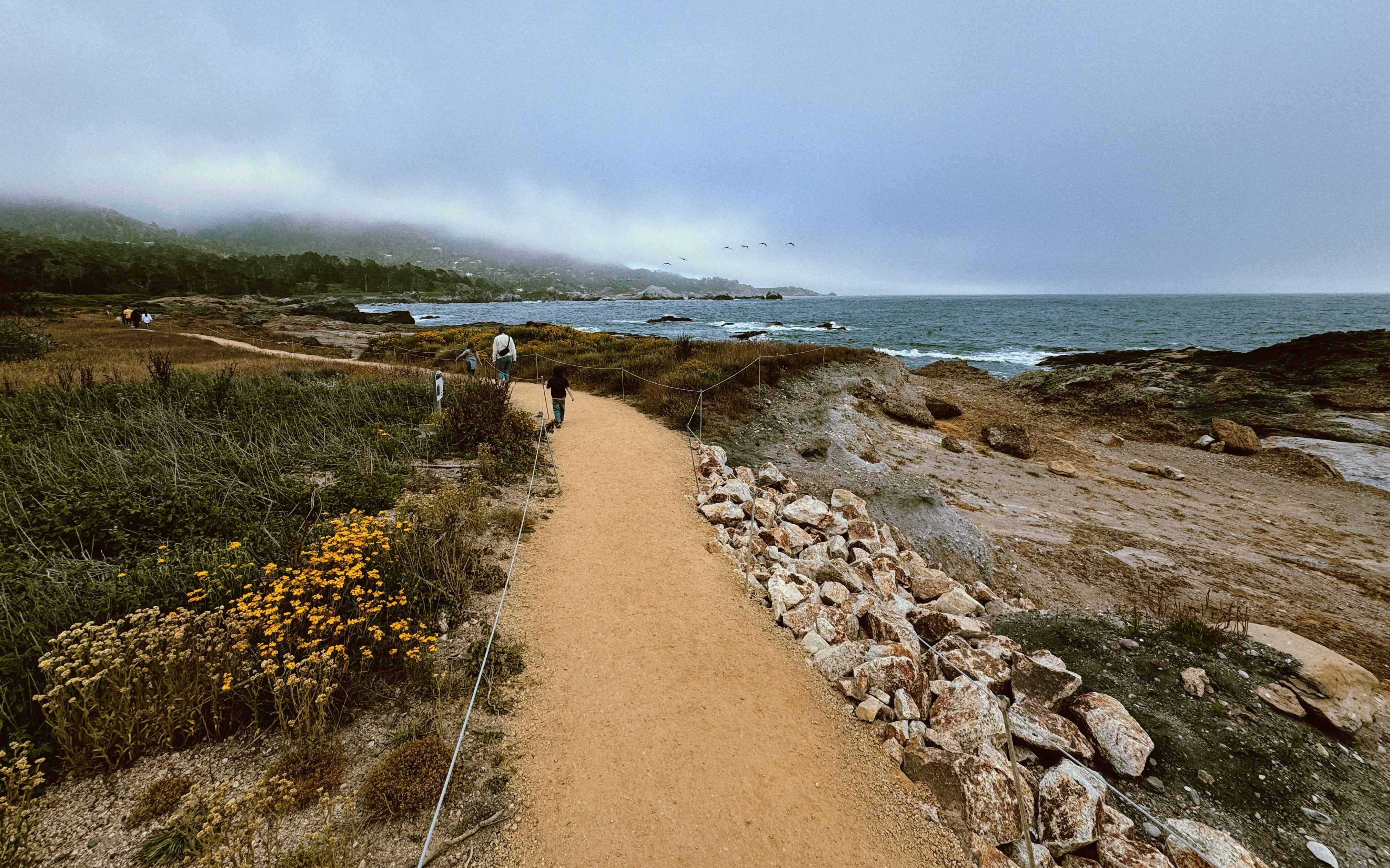 Stop image for Lost Coast Adventure: Humboldt to Mendocino in 3 Days - Two people walking on a path near the ocean -  in Pacific Northwest & West Coast - Photo by Tommy Bond on Unsplash