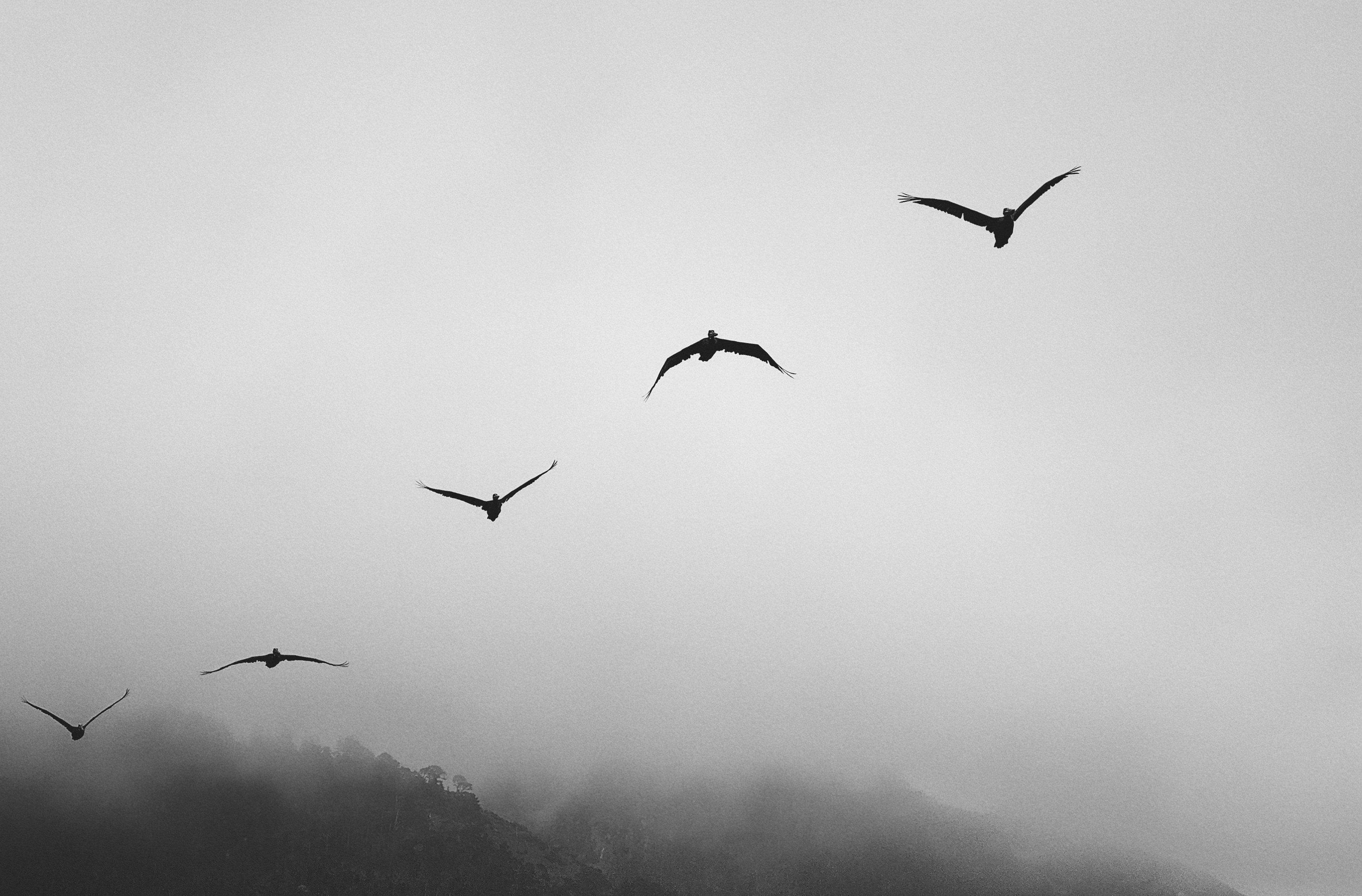 Photo by bondomovies