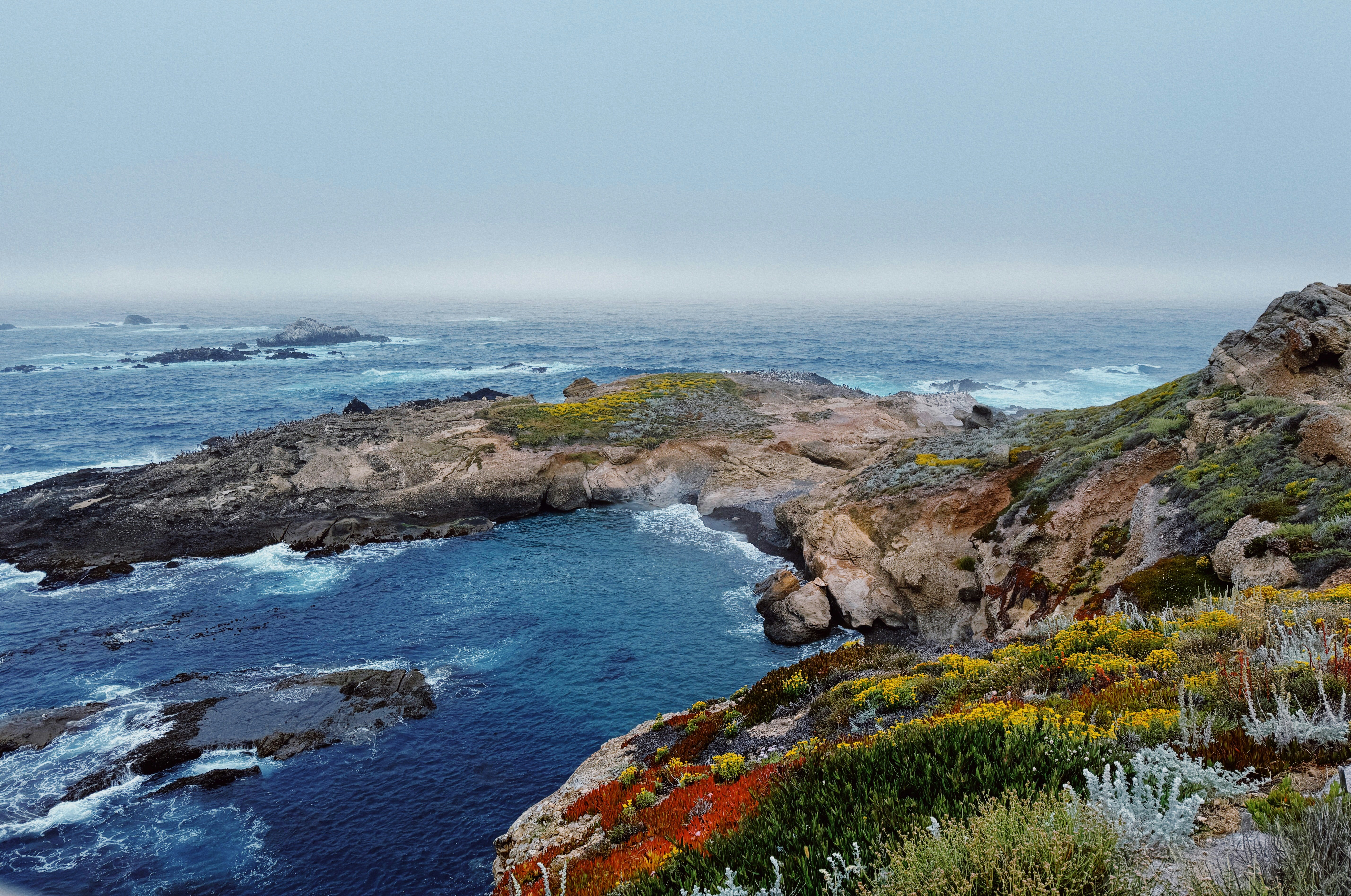 Photo by bondomovies