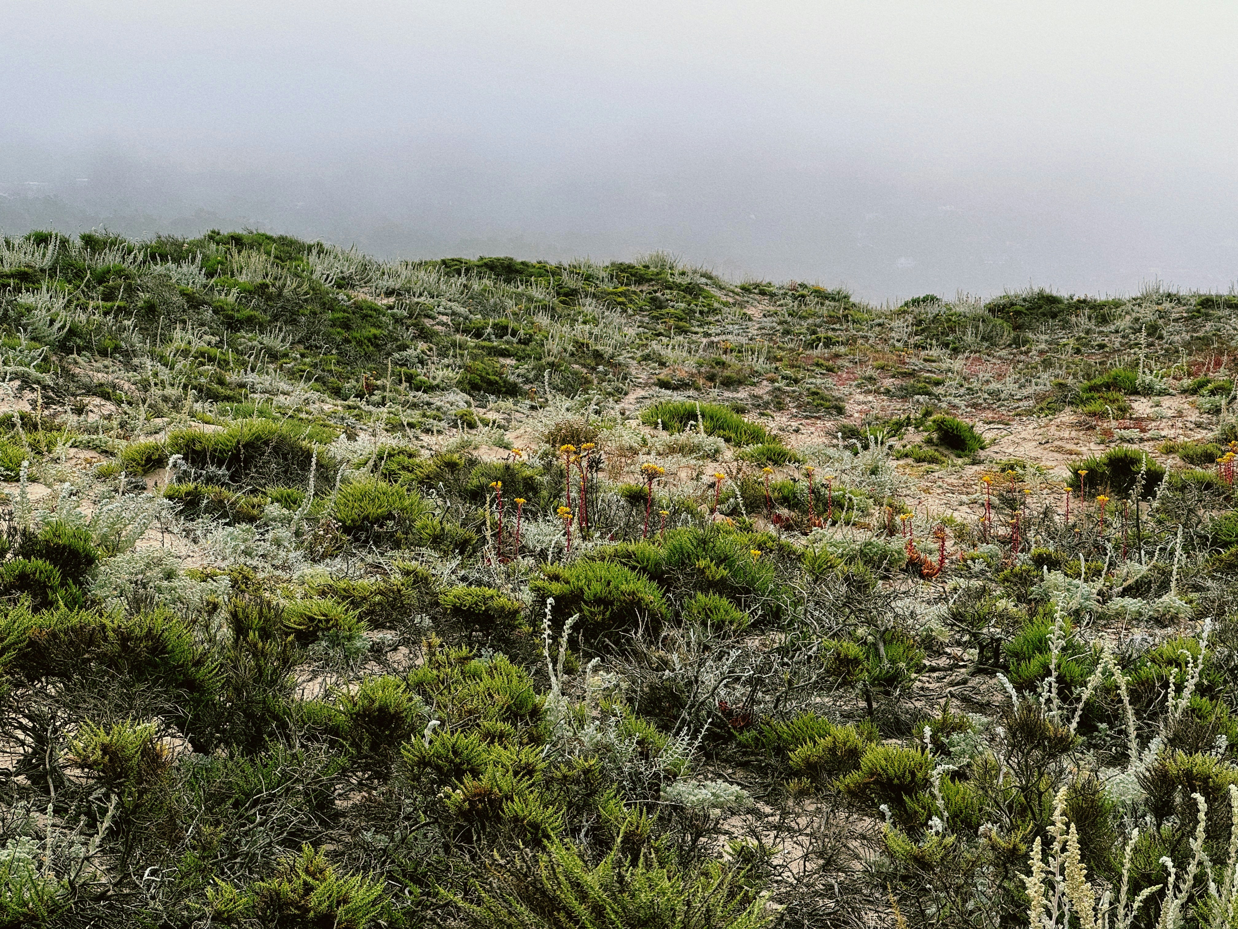 Photo by bondomovies