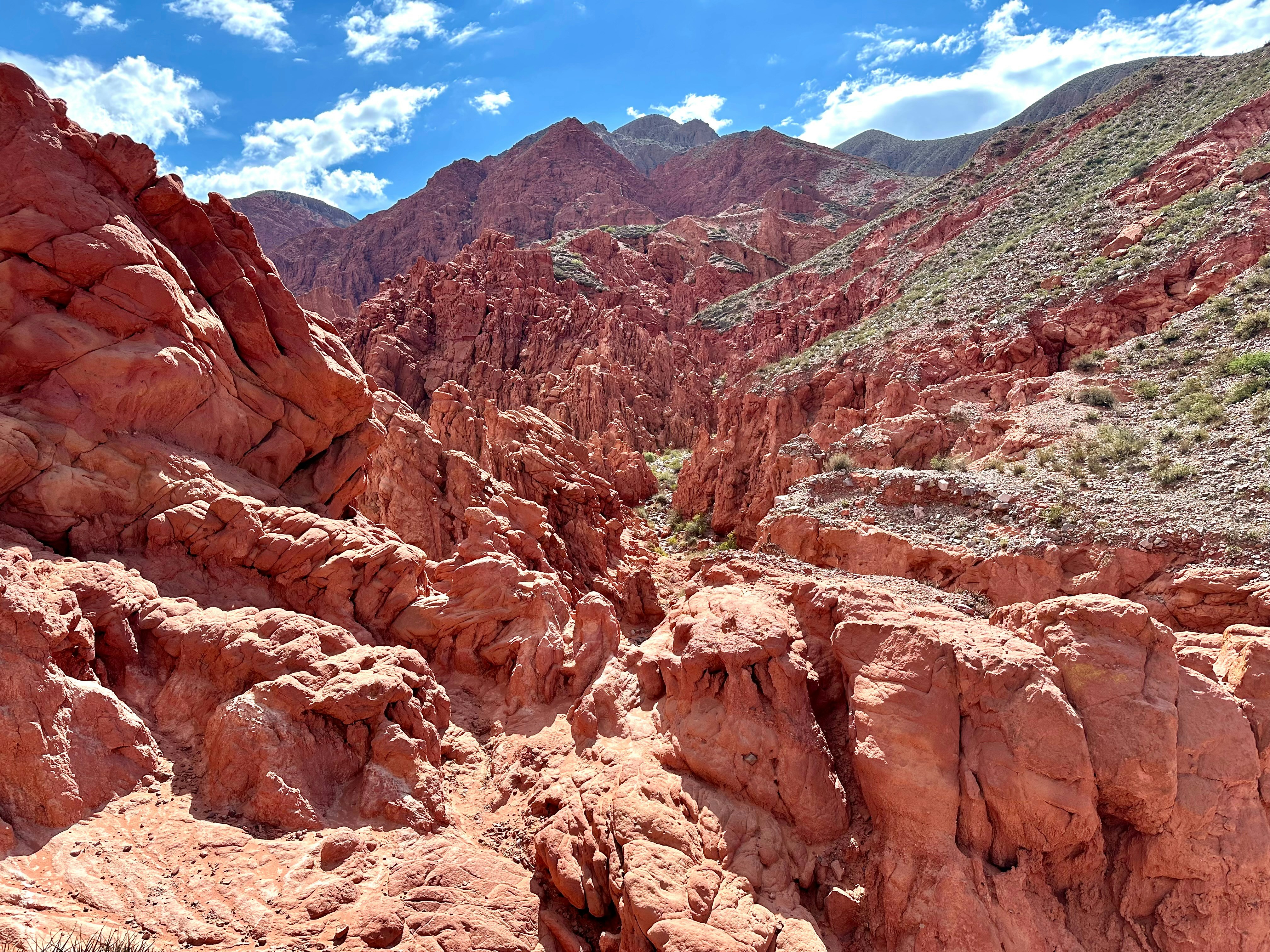 Photo by maximilian_brand