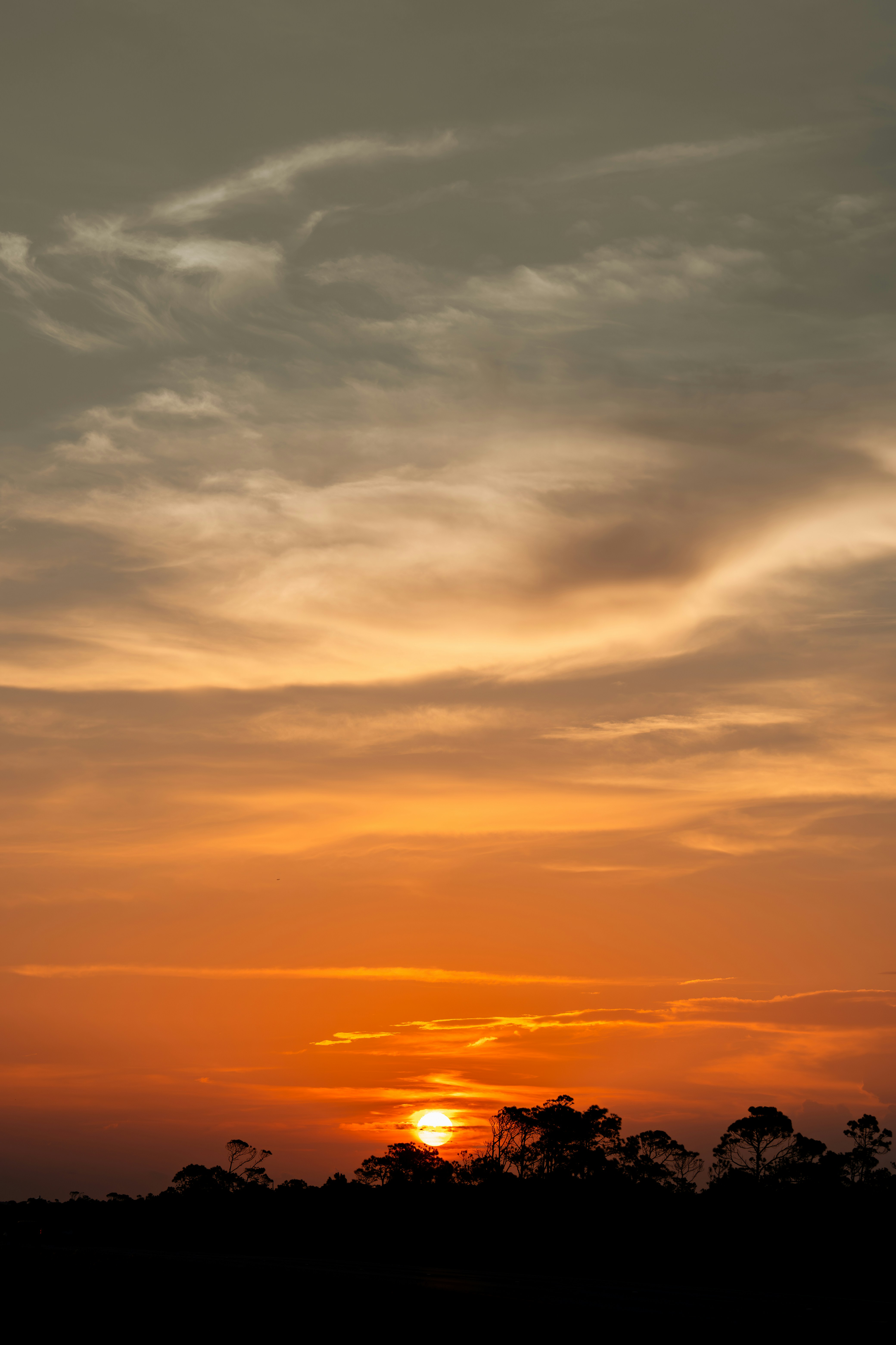 Photo by damiankravchuk