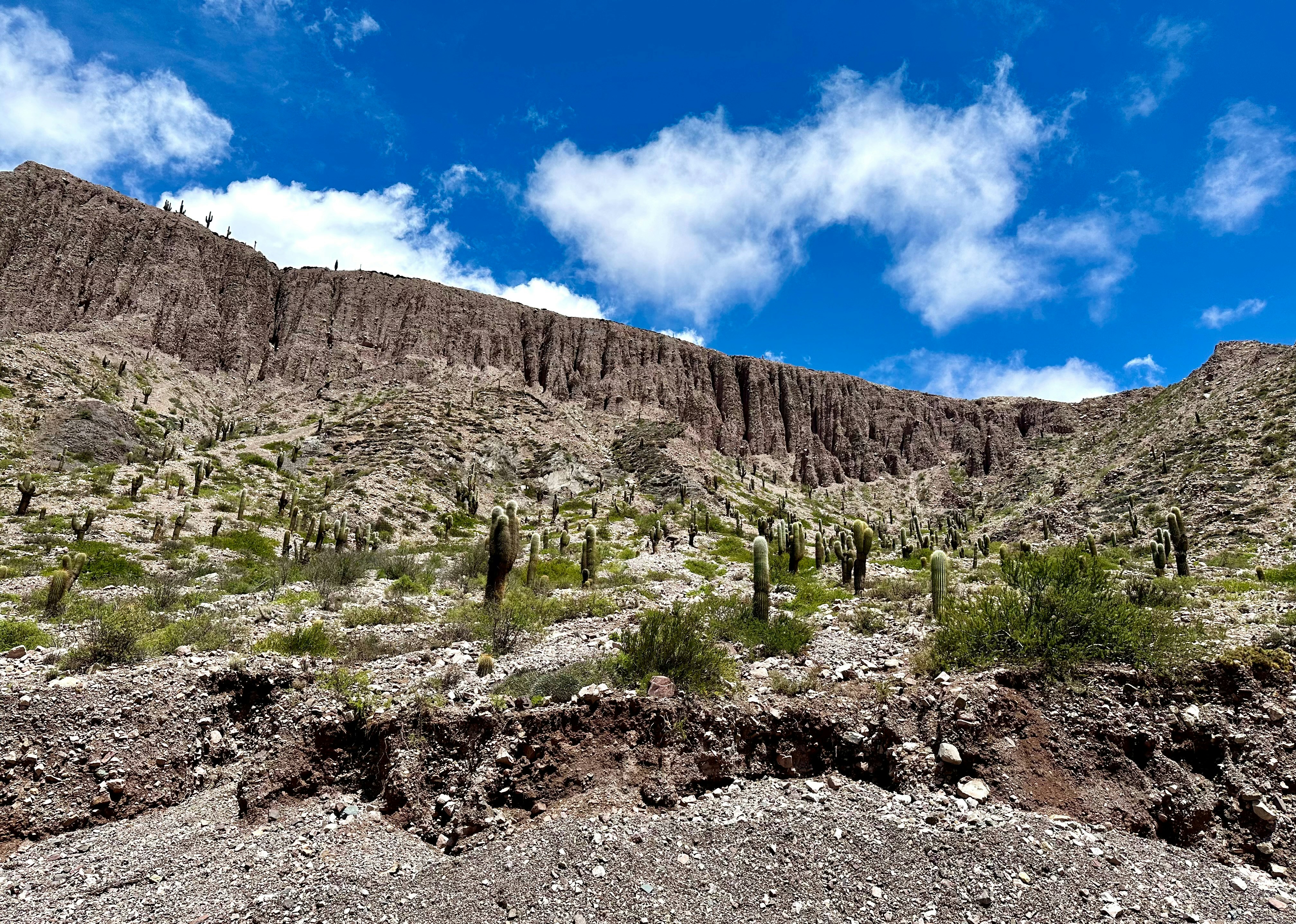 Photo by maximilian_brand