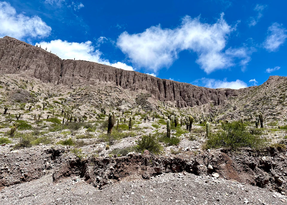 The image depicts a rugged, rocky cliff face with patches of vegetation and shrubs scattered across its surface. The cliff is composed of layers of rock and dirt, creating a sense of depth and texture. In the distance, beyond the cliff, there are several small hills that add to the overall landscape. The sky above is clear blue with fluffy white clouds, suggesting a bright and sunny day.