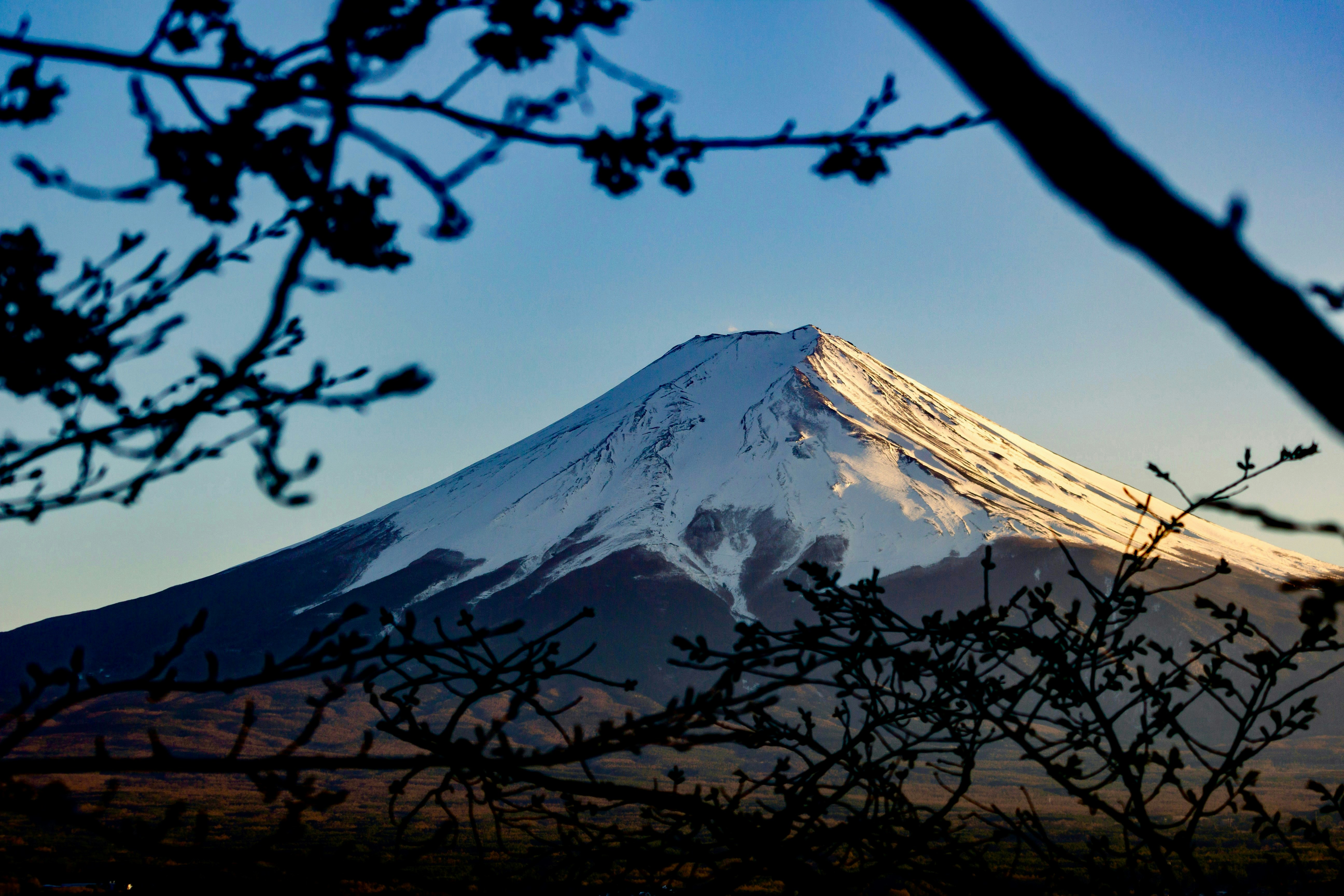 Photo by maximilian_brand