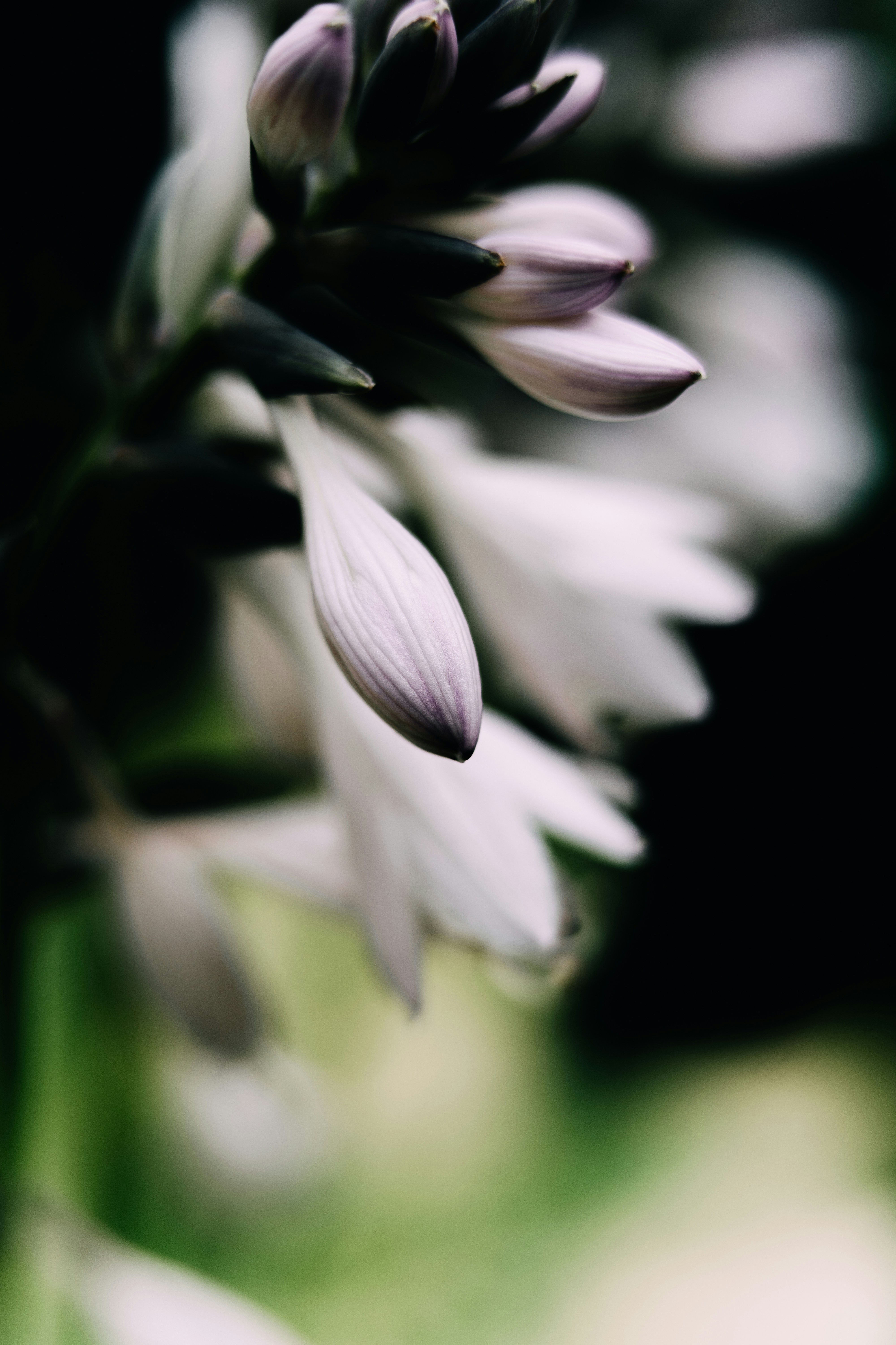 Photo by anamnesis33