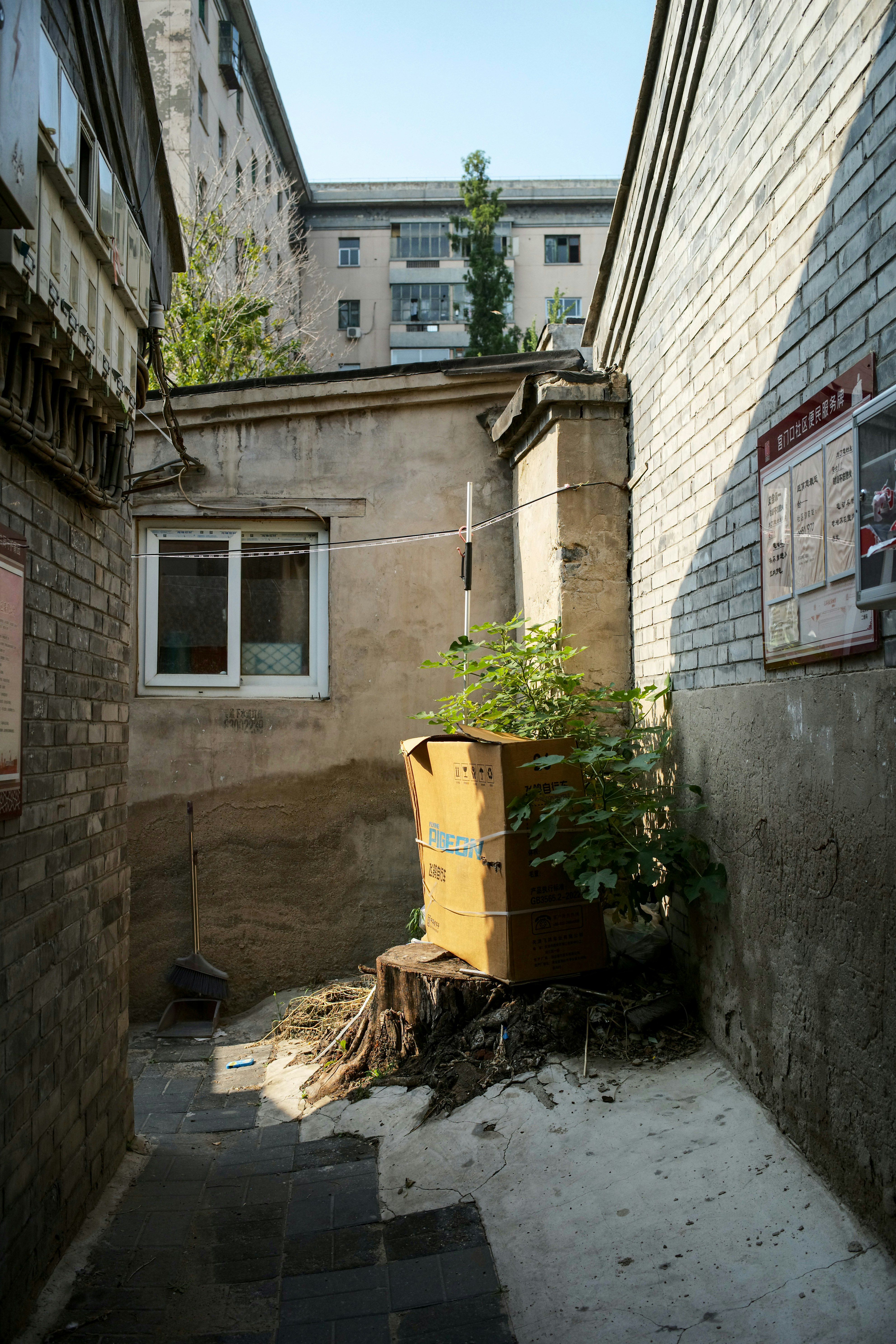 Photo by tommaomaoer