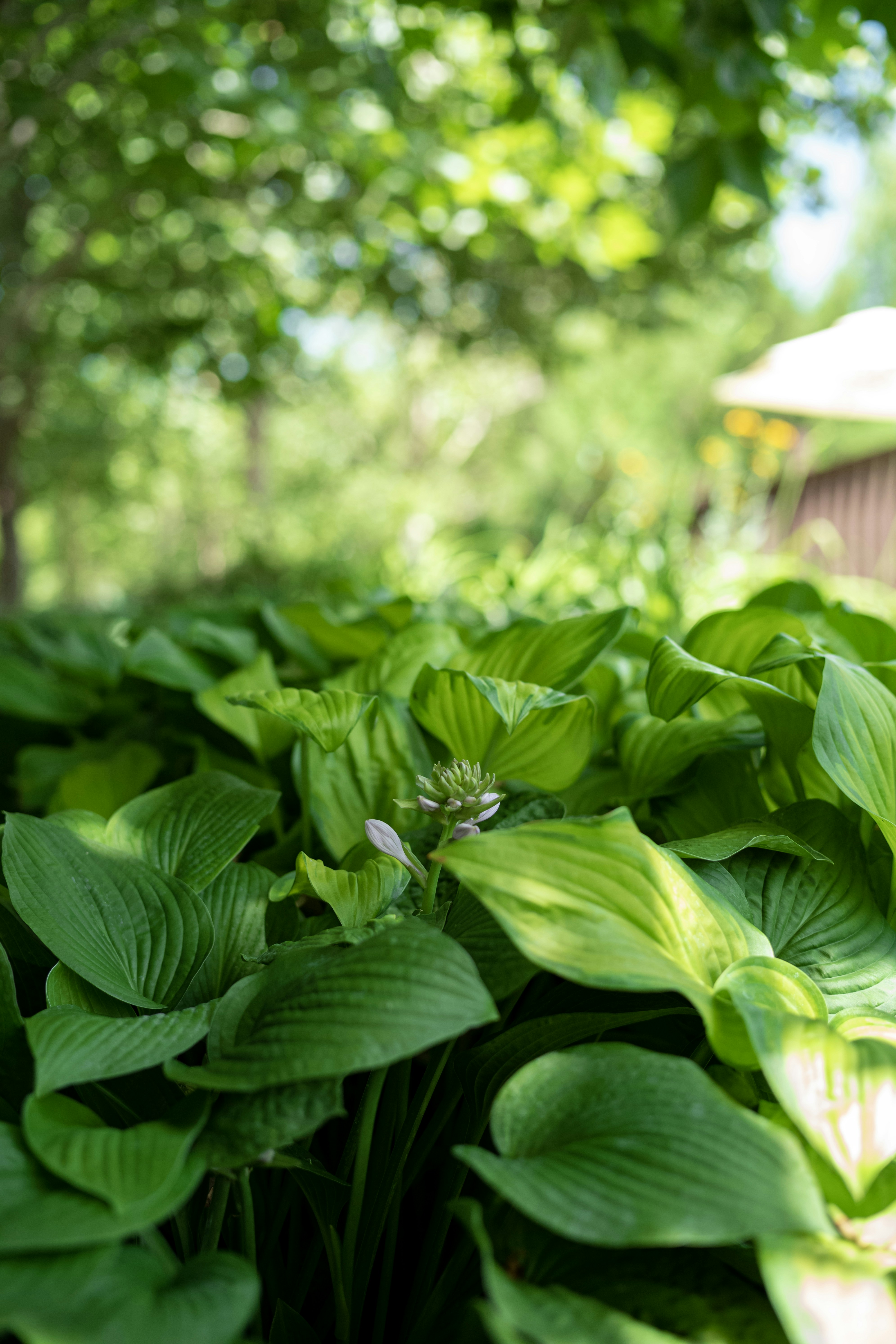 Photo by tommaomaoer