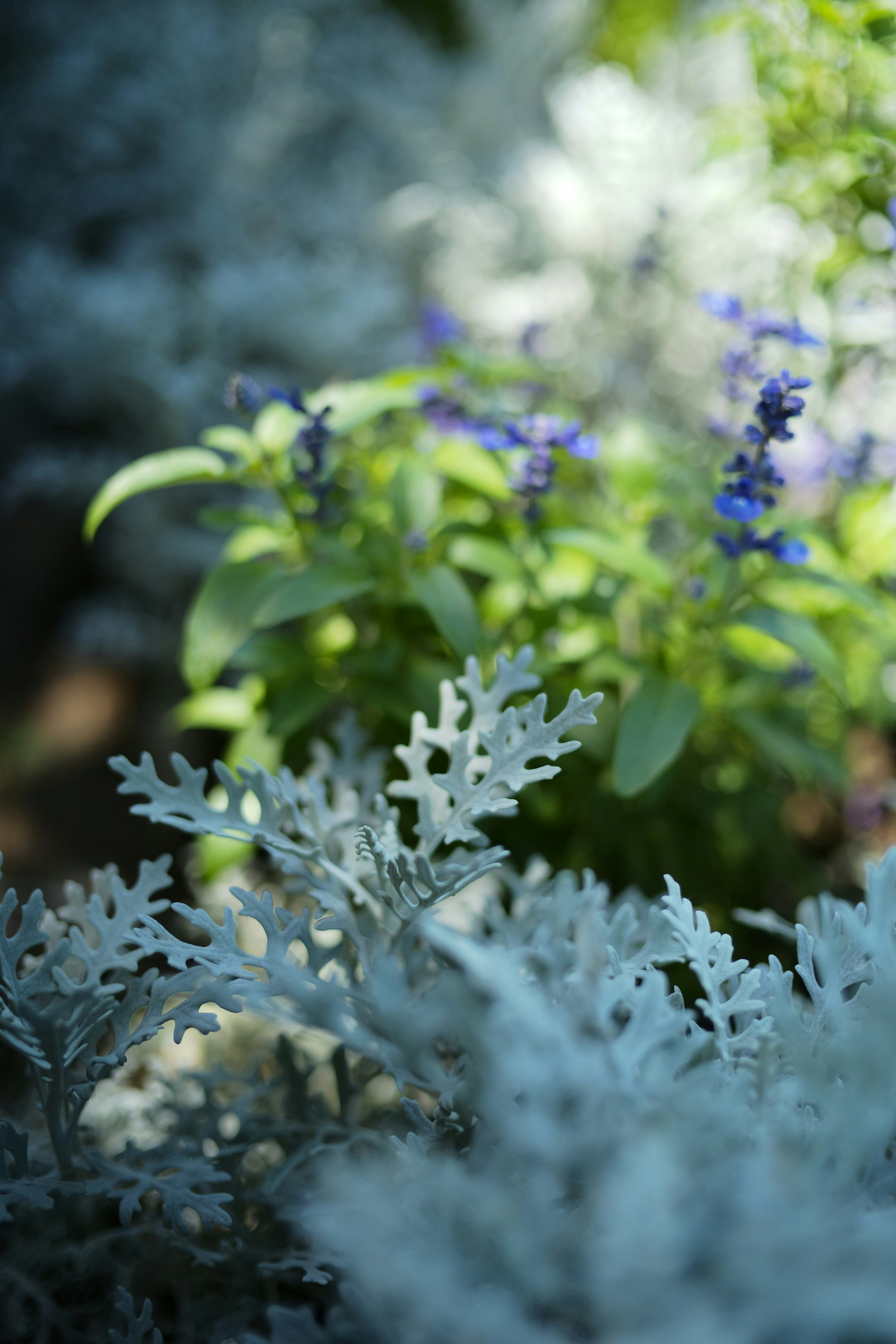 Photo by tommaomaoer