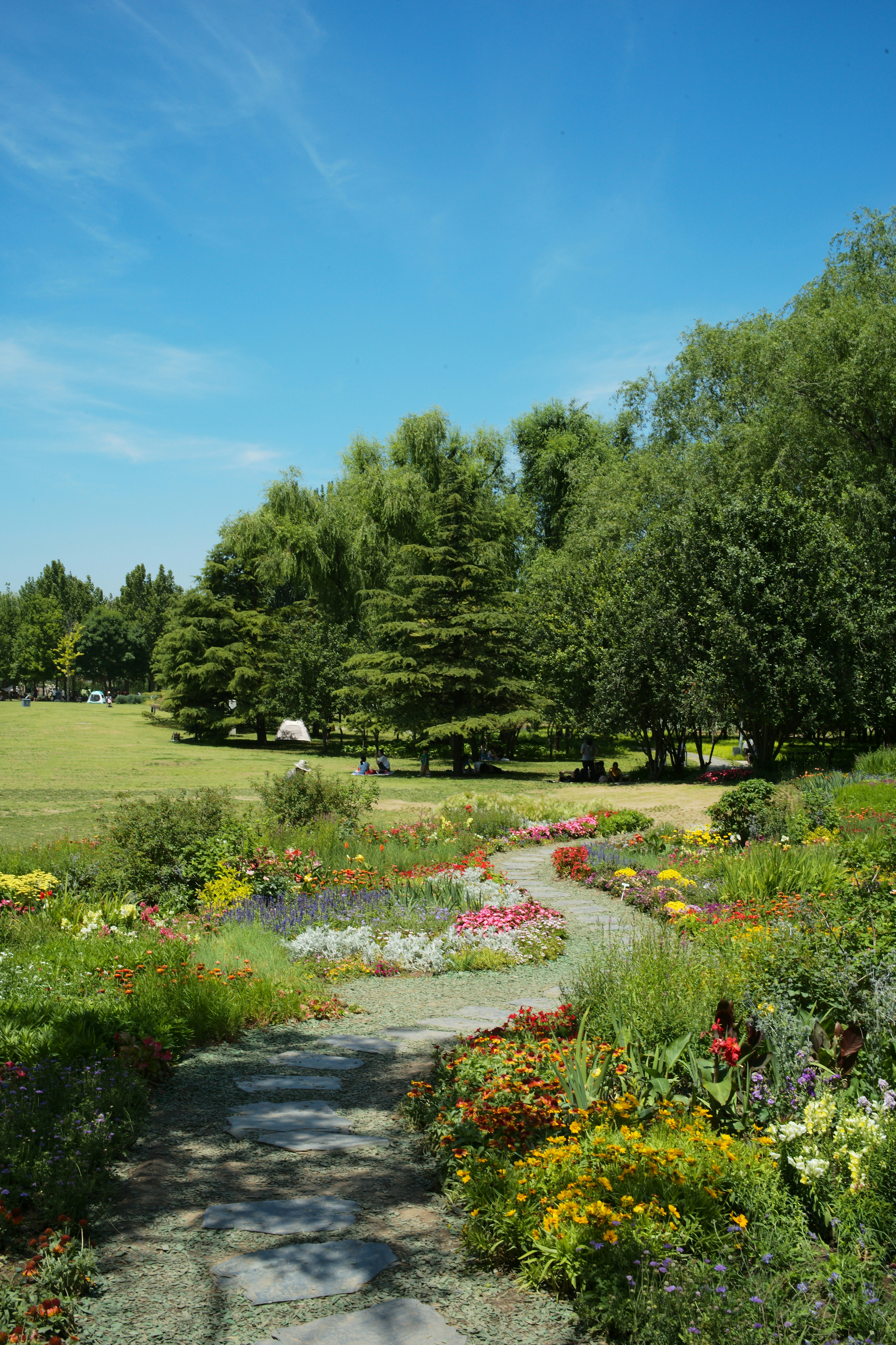 Photo by tommaomaoer