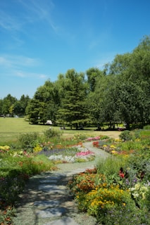 A dirt path surrounded by flowers and trees
