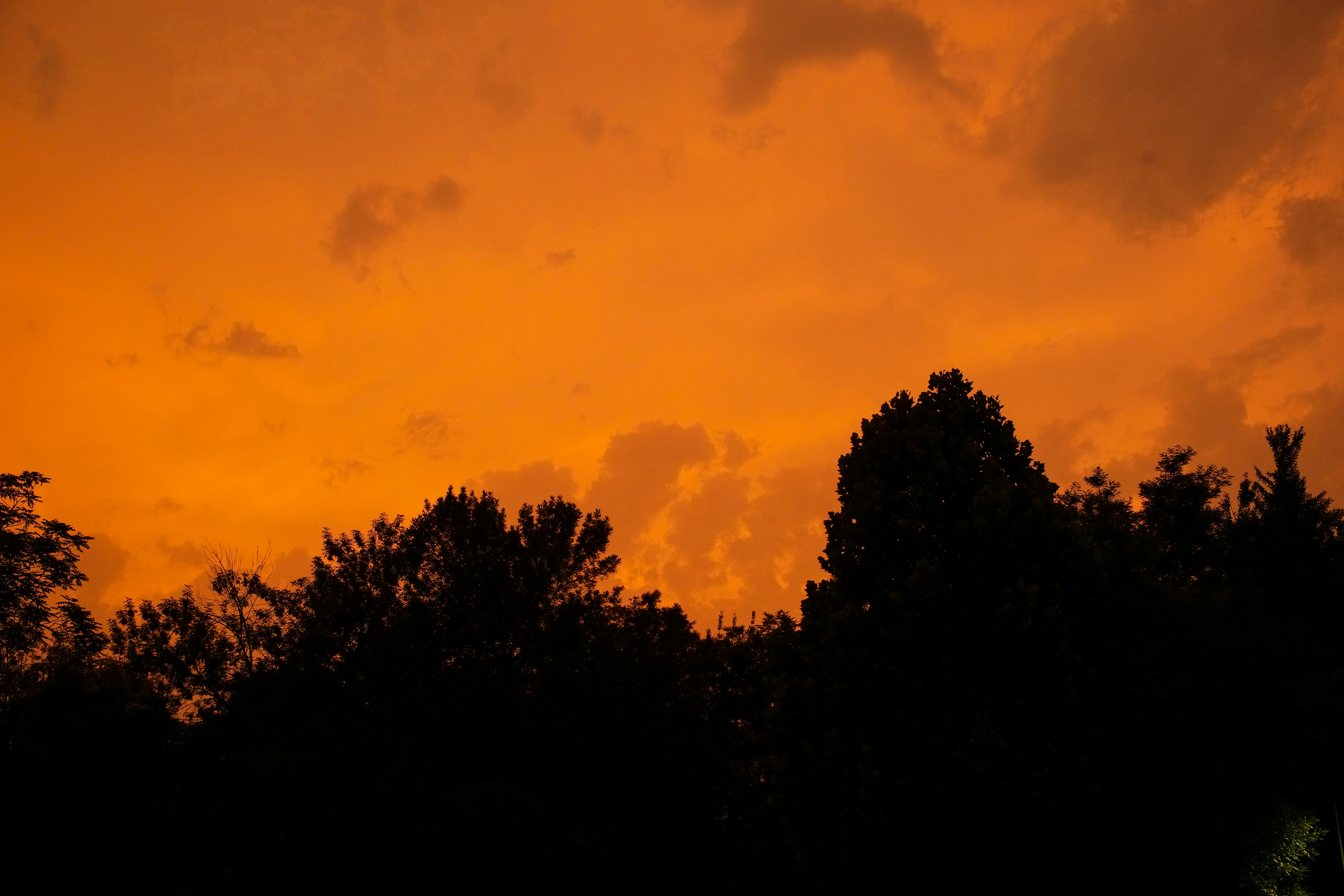 Photo by tommaomaoer