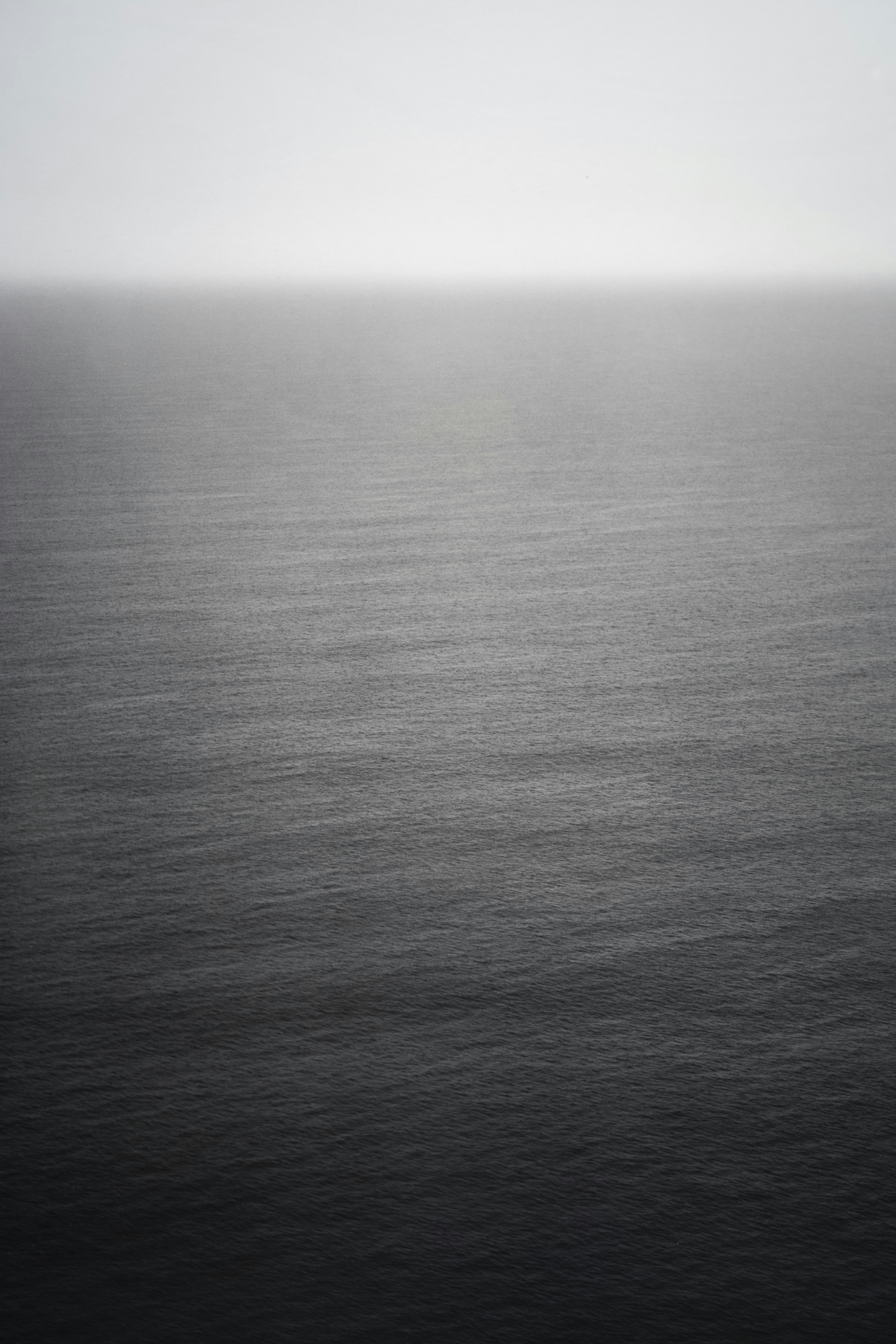 Photo by tommaomaoer