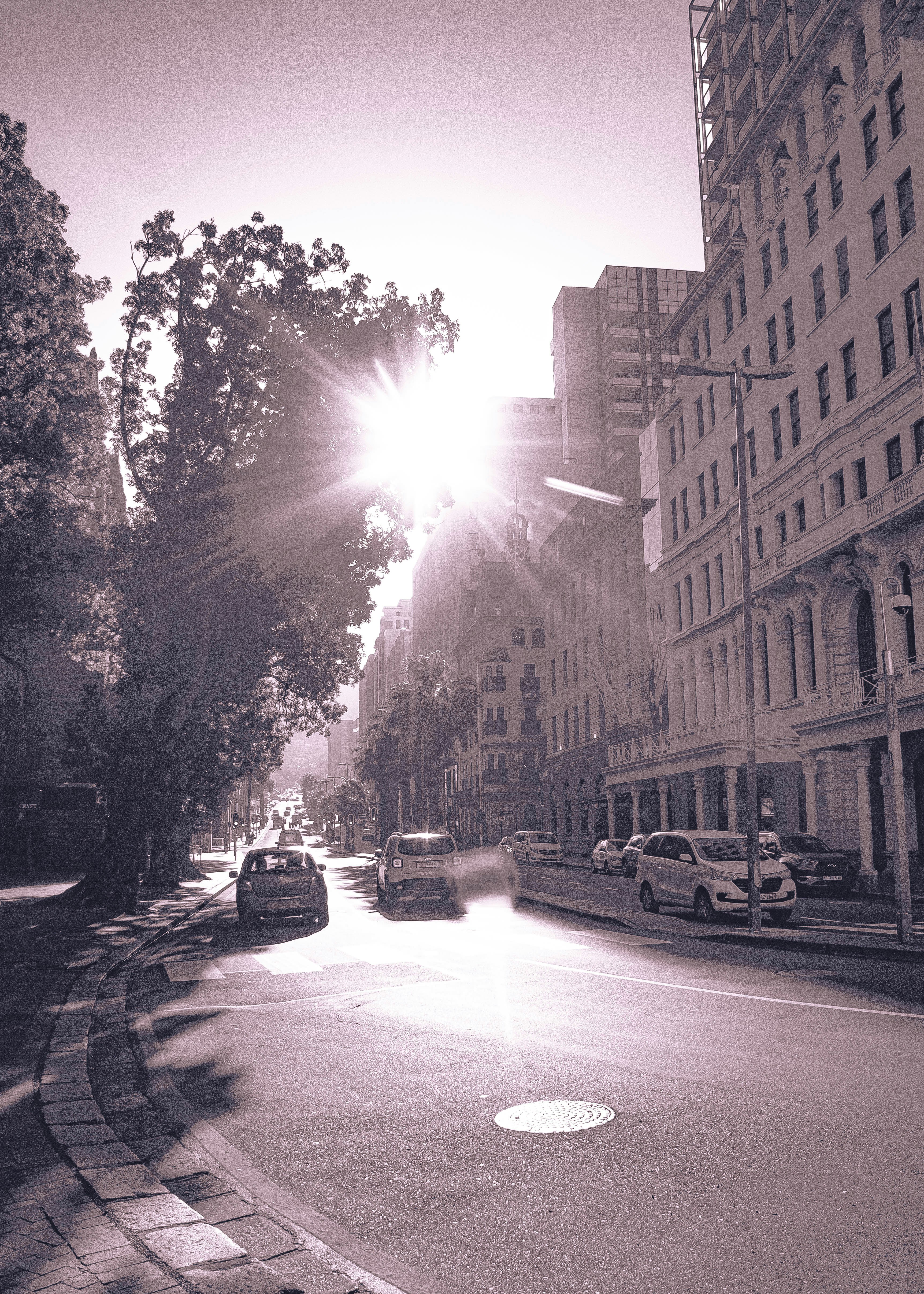 Photo by binkas_bear_studio