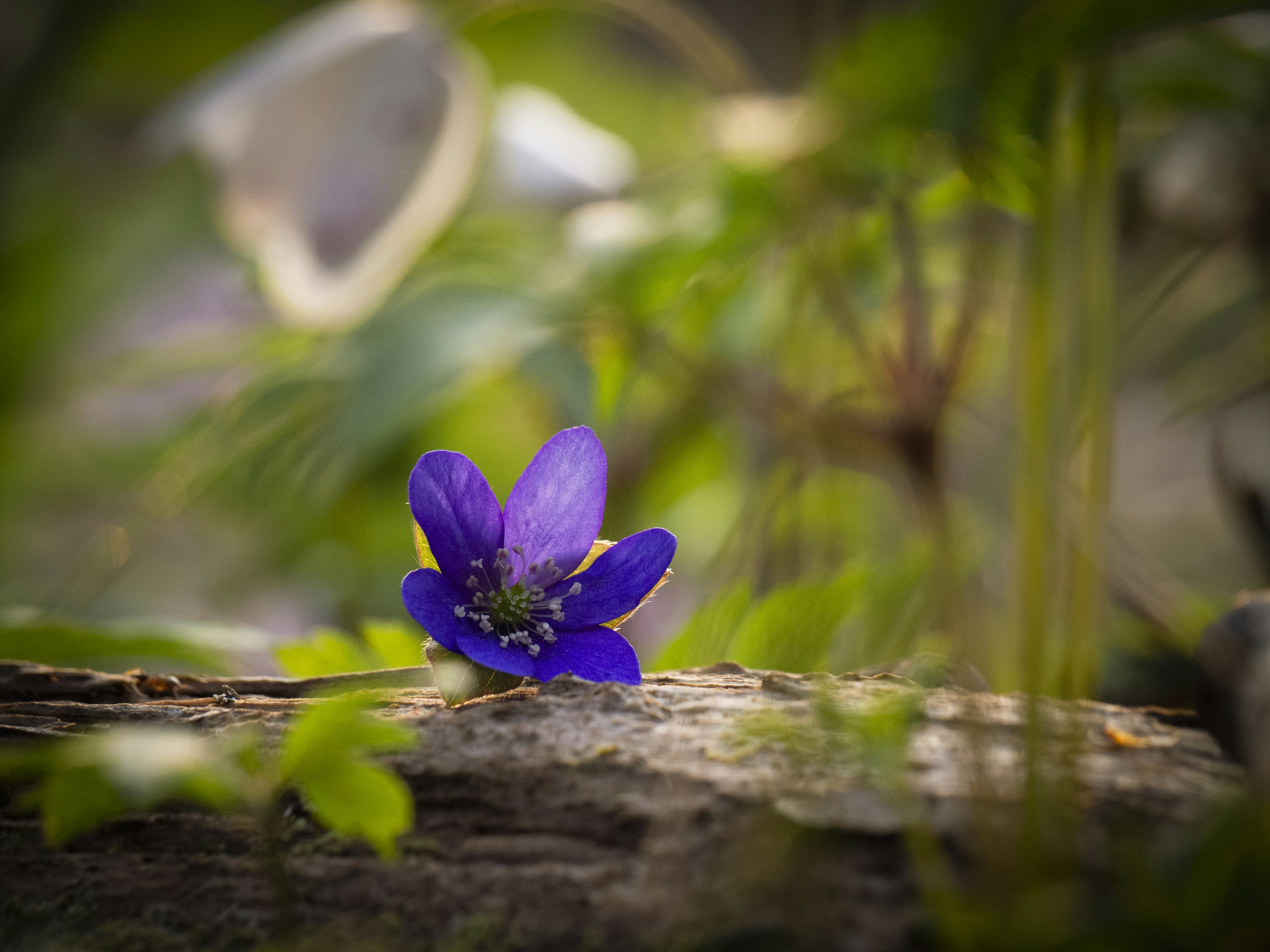 Photo by thegreenfield