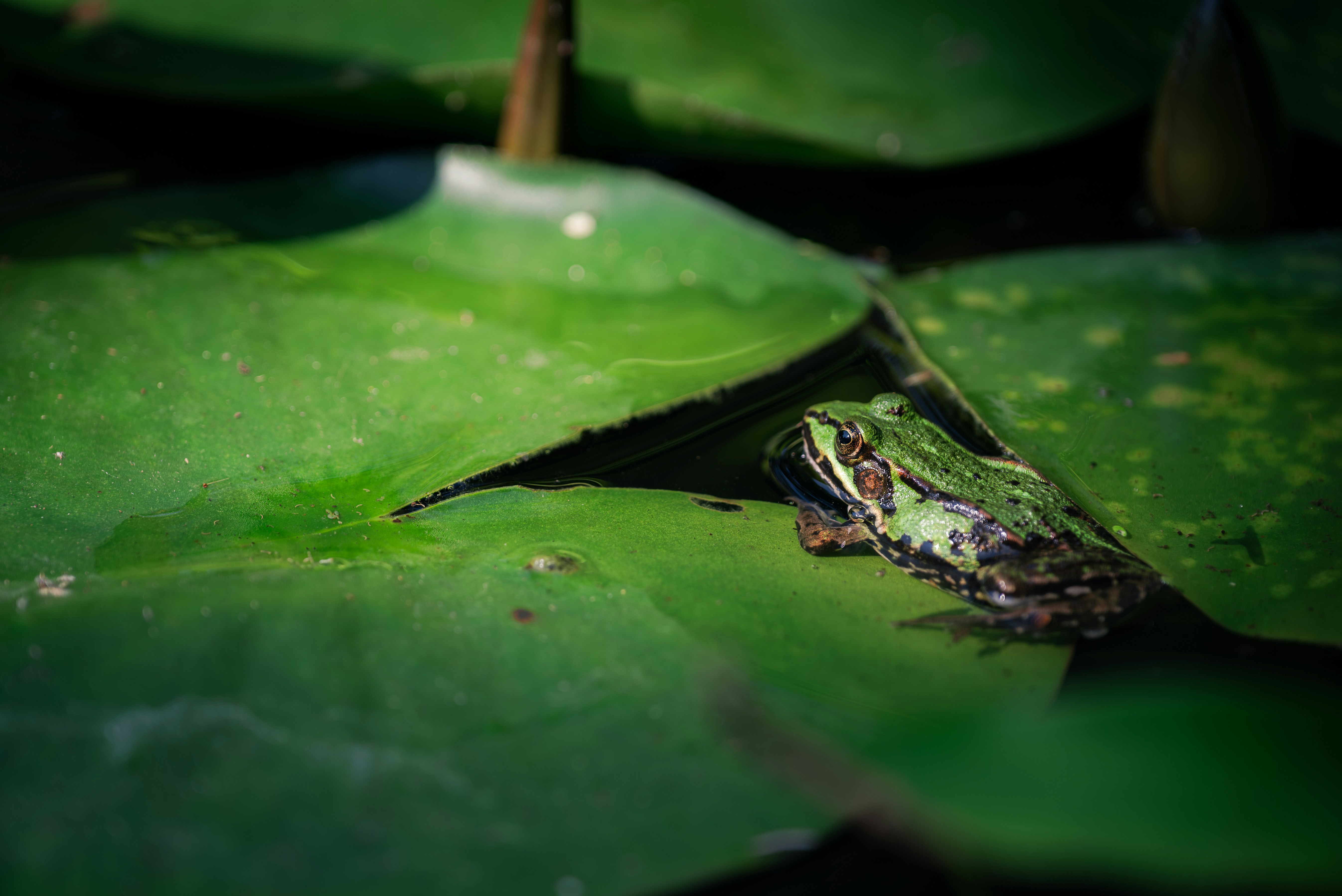 Photo by jetztabertempo